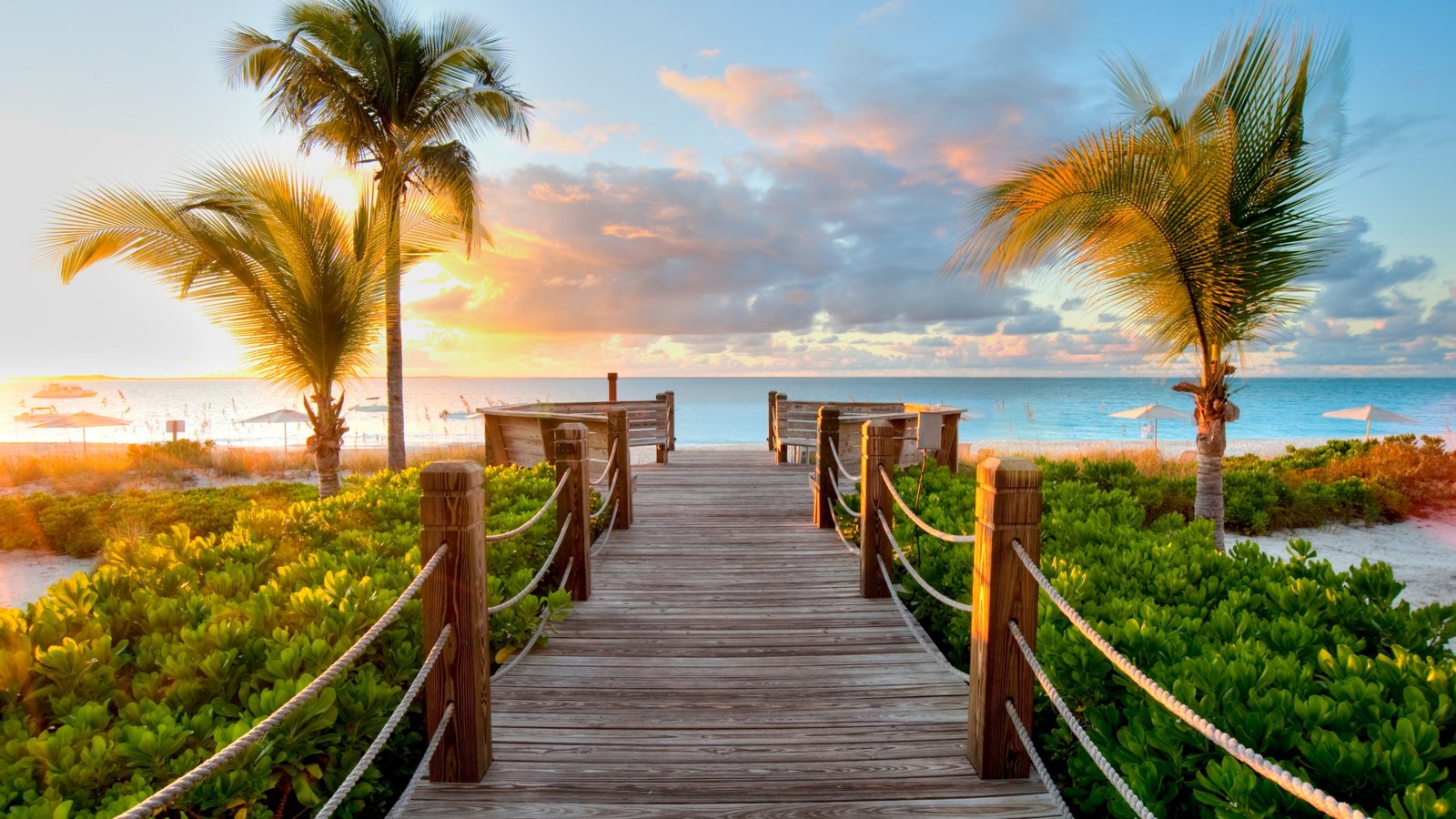 brown wooden pathway leading to ocean between palm trees Turks and Caicos Islands 2k 4k