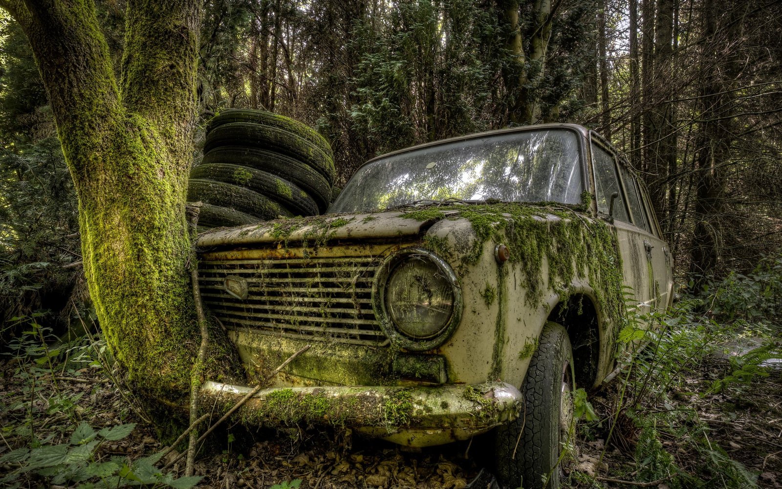 classic gray sedan car nature trees forest leaves LADA 2k