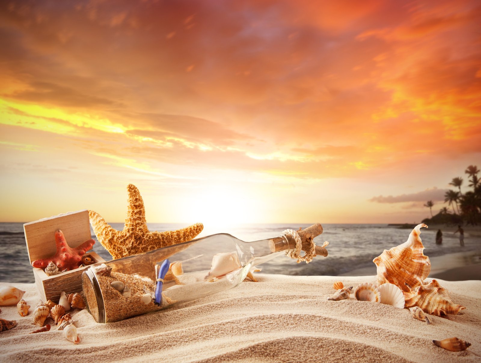 clear glass bottle and brown starfish sand sea beach stars 2k 4k 5k
