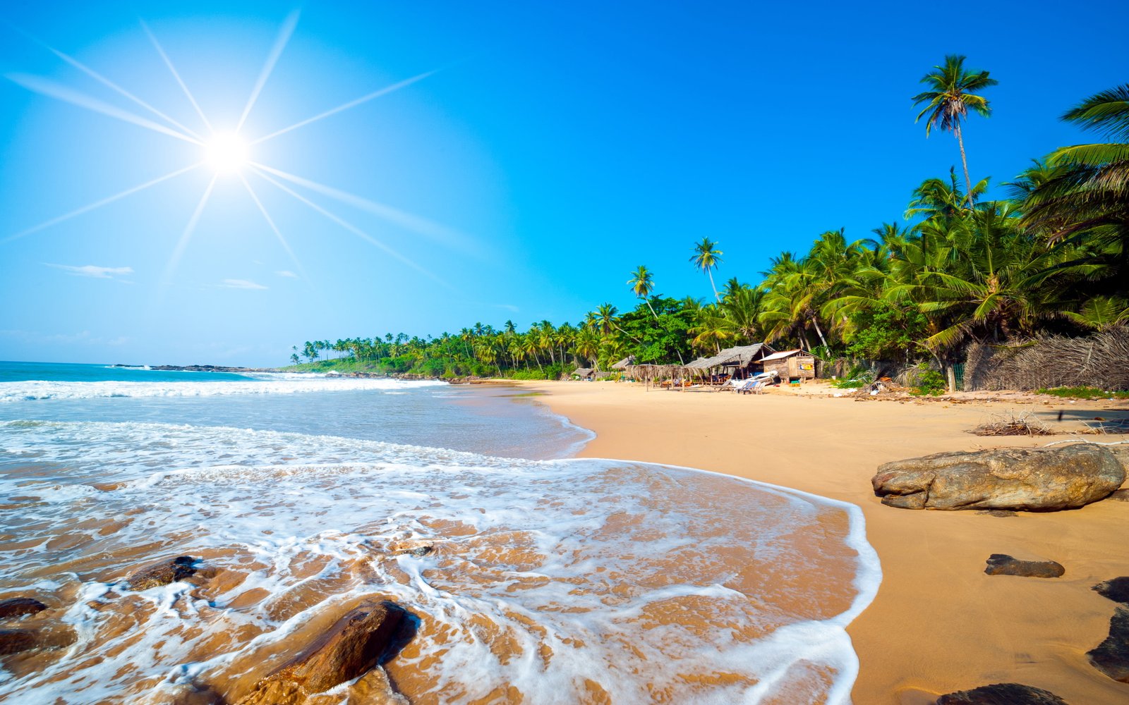 Exotic Sri Lanka Jaffna Beach Tropical Forest Palm Trees Ocean Waves Sandy Ndian Hd Wallpaper 2k 4k