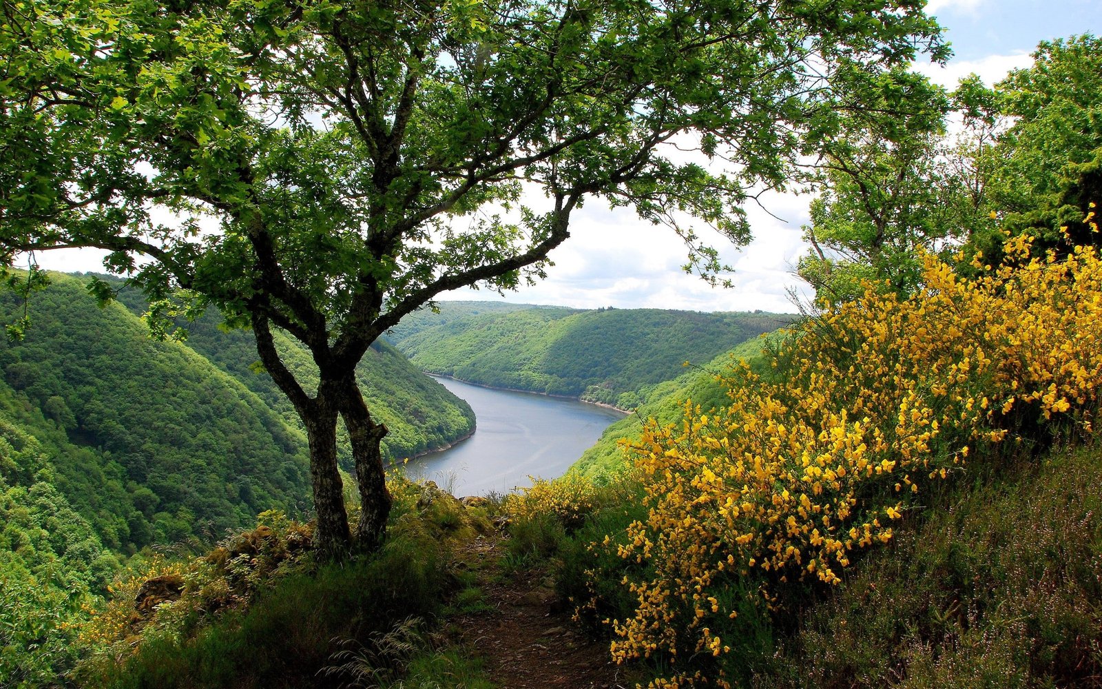 Greenery scenery hills river trees 2k