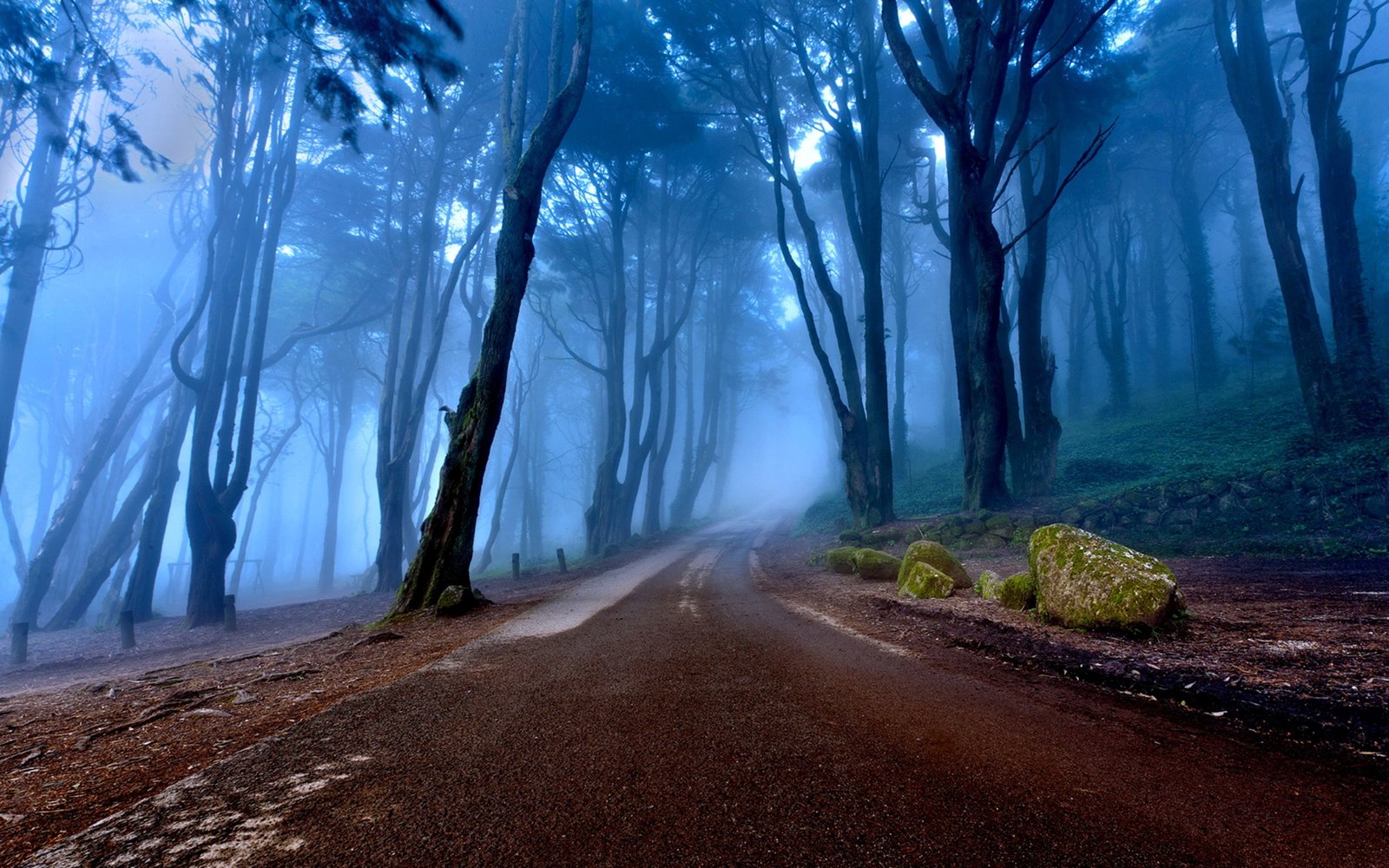 Landscapes Of Portugal Autumn Road Forest With Tall Trees Mist Rock Desktop Wallpaper Backgrounds Hd 2k 4k