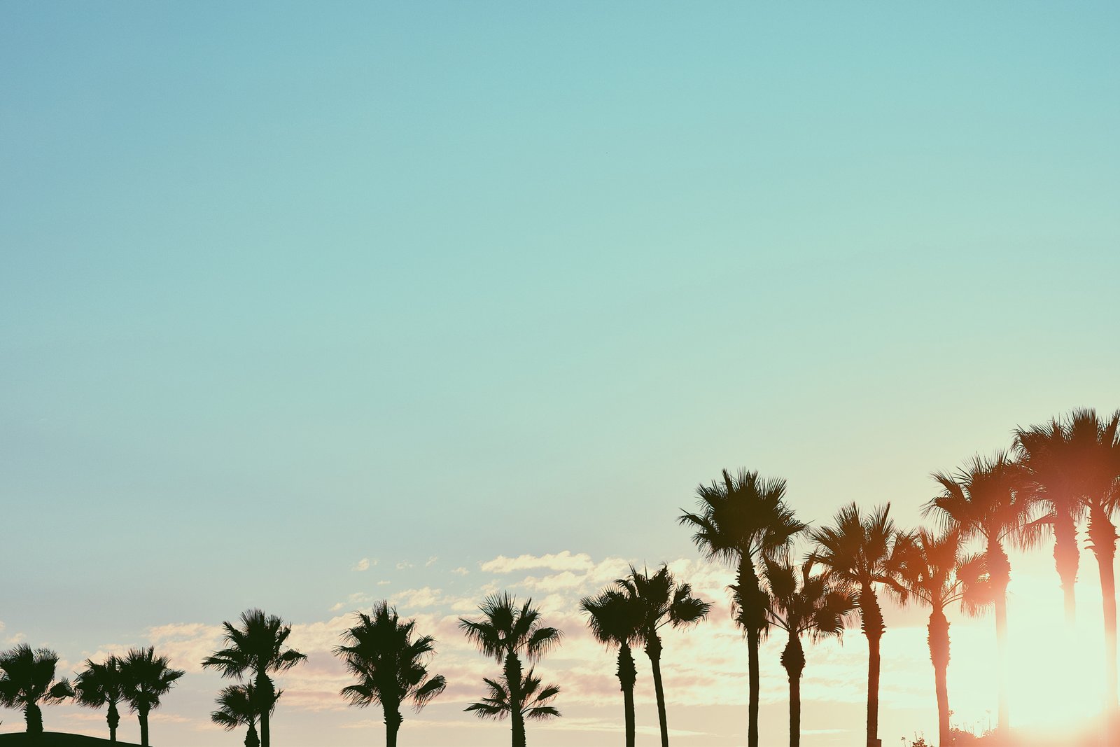 long beach united states cali california sunsets palm trees 2k 4k 5k