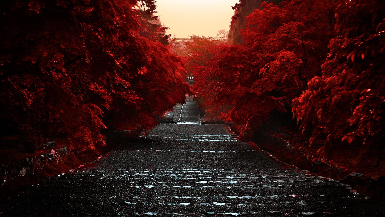 nature asia japan Honshu hd natur 2k 4k