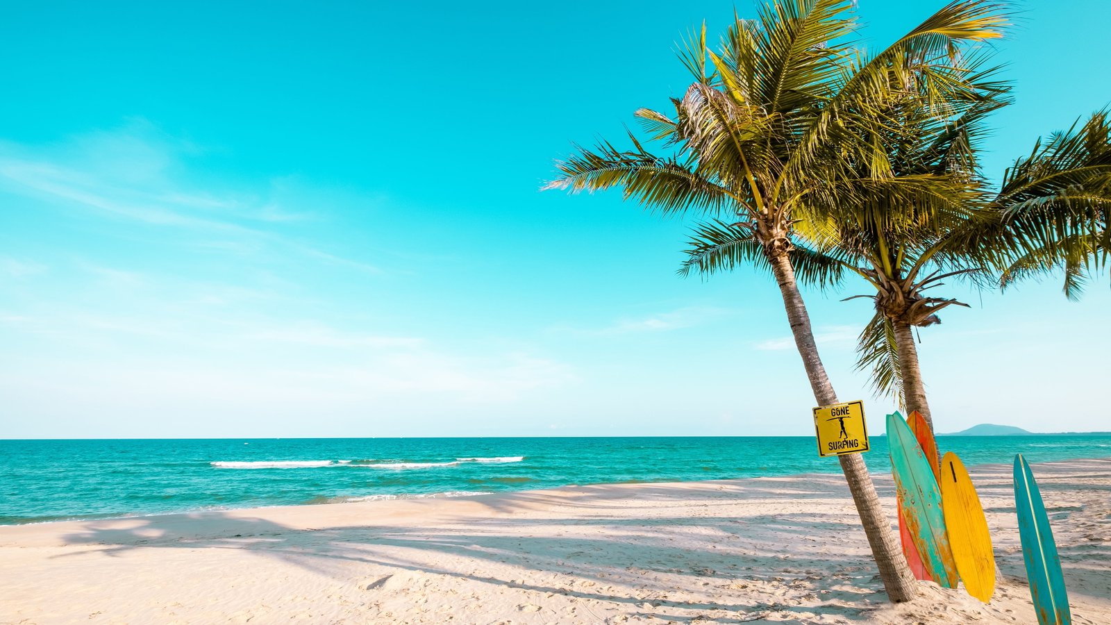 palm sandy beach summertime summer landscape wind sea 2k 4k