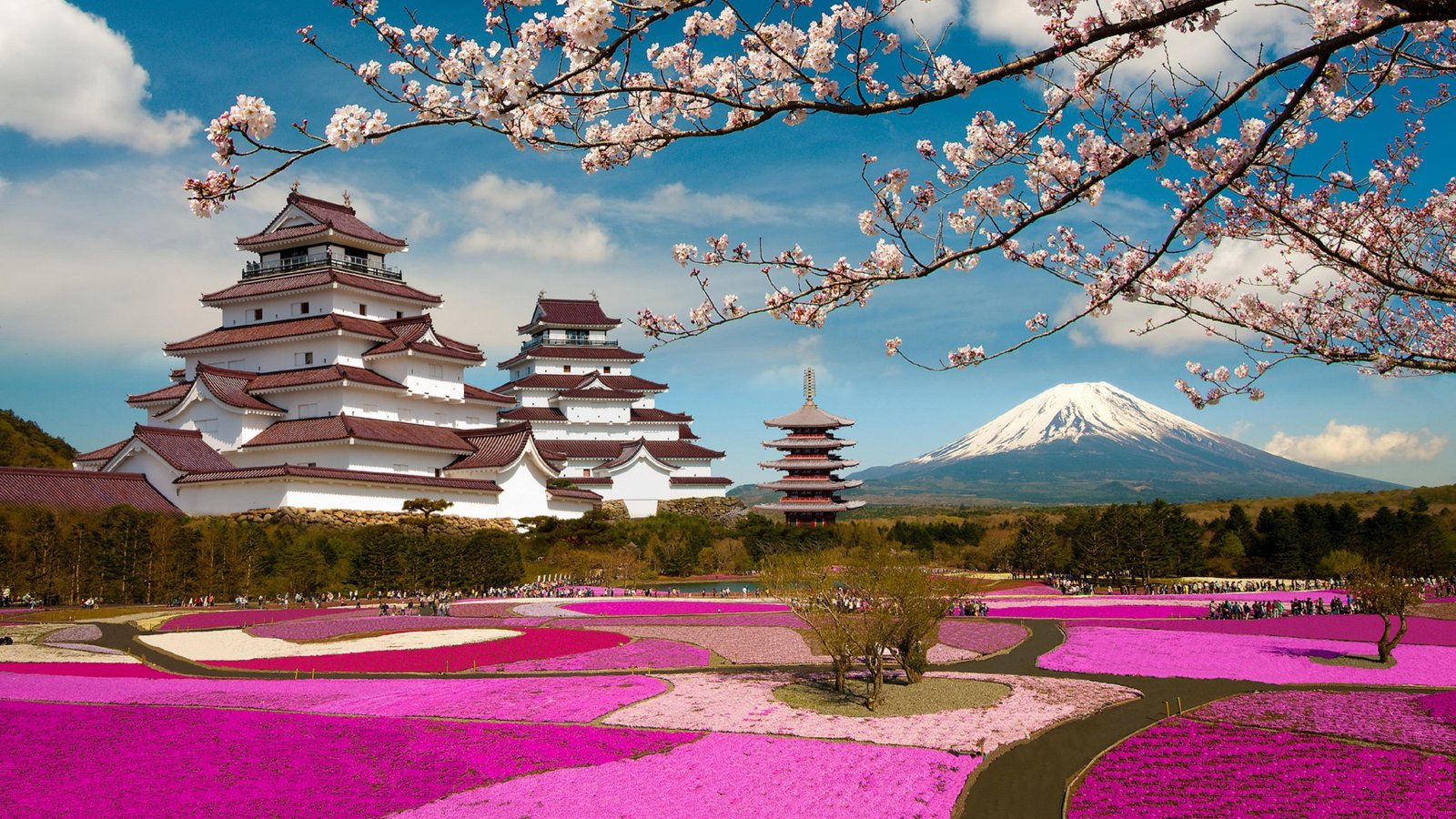 tourism fuji aizuwakamatsu fukushima castle 2k 4k