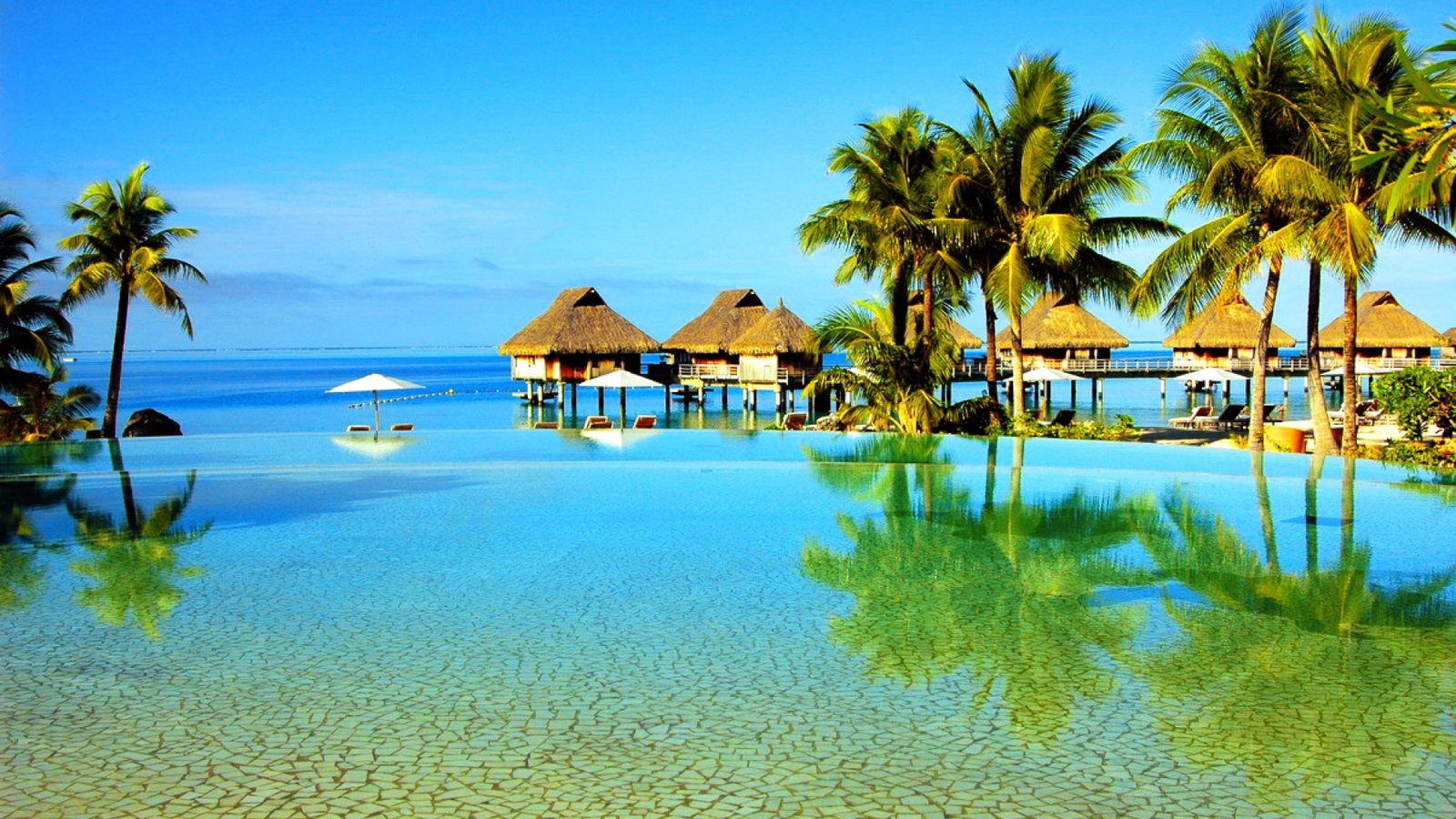 travel awesome wonderful amazing apartments pool reflected 2k 4k