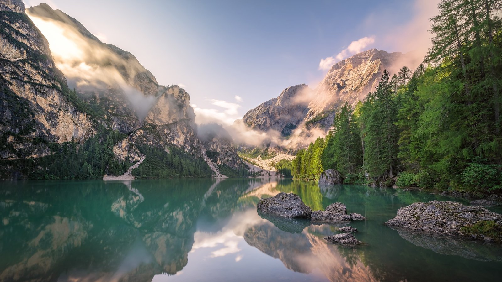 tree braies dolomites italy south tyrol prags 2k 4k
