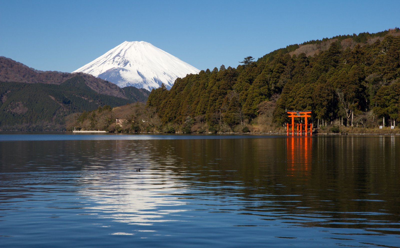 Ashinoko Lake body of water and Mt Fuji Asia Japan Nature 2k 4k 5k