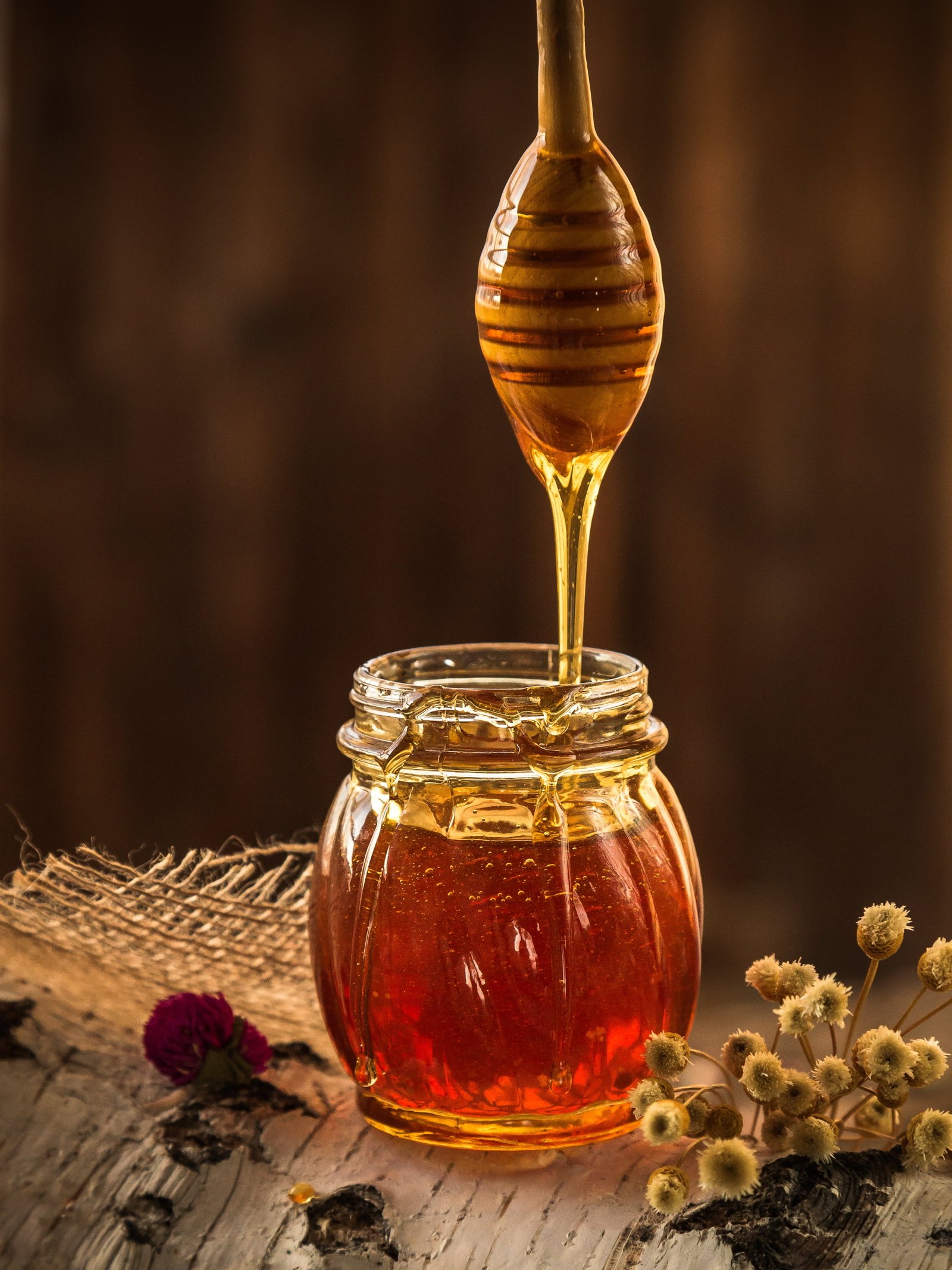 brown honey yellow beekeeper nature pollen flower beekeeping 2k