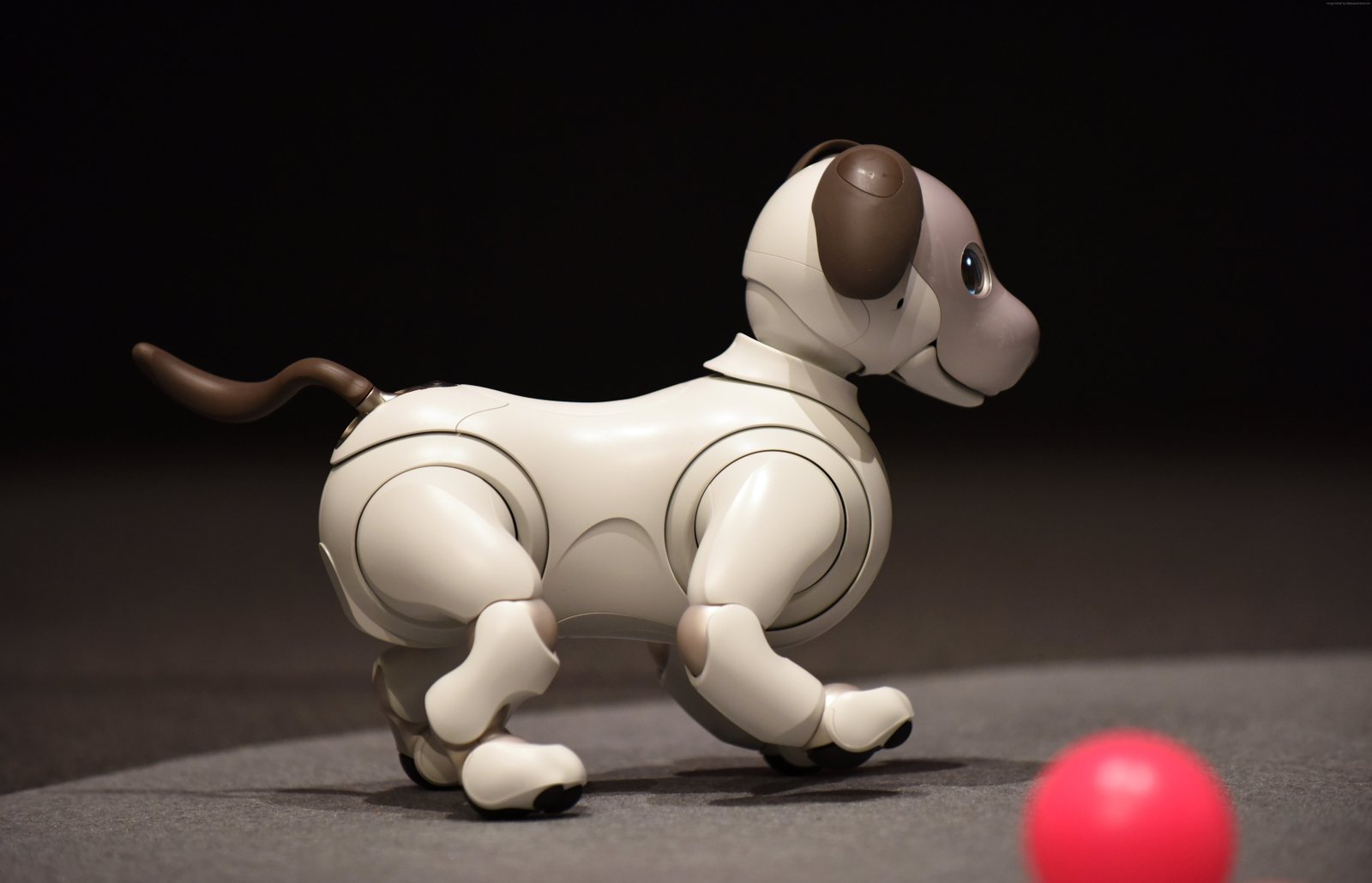 CES robot dog Sony Aibo representation indoors 2k 4k 5k