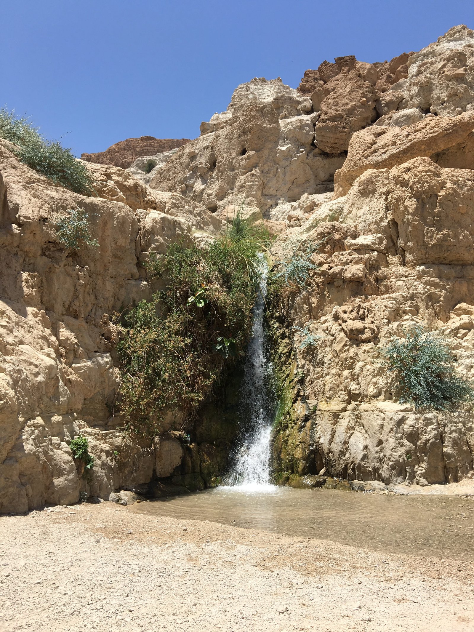 eingeti israel desert nature spring stone mountain negev 2k