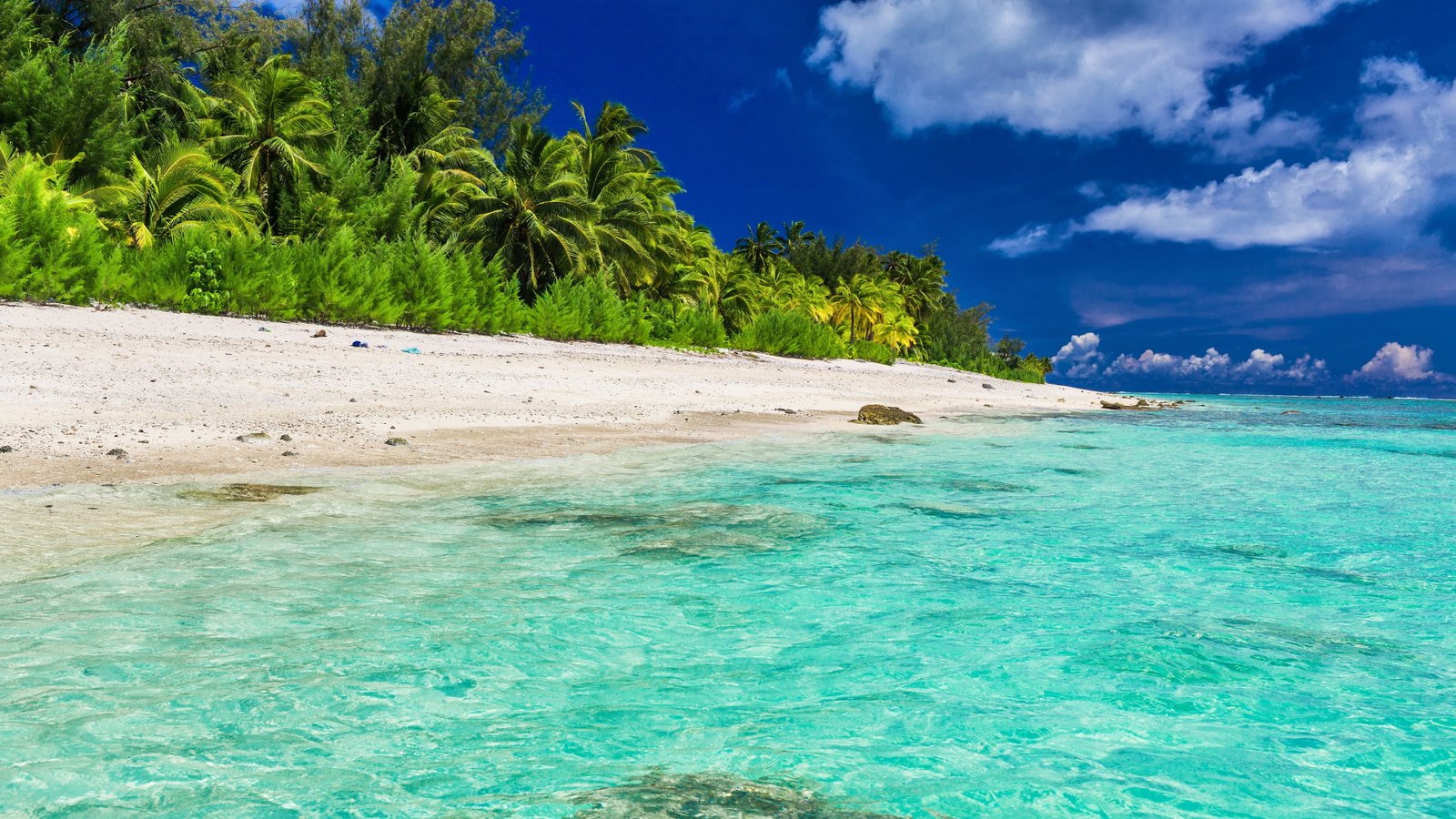 lagoon palms summertime maldives tropical beach sky water 2k 4k