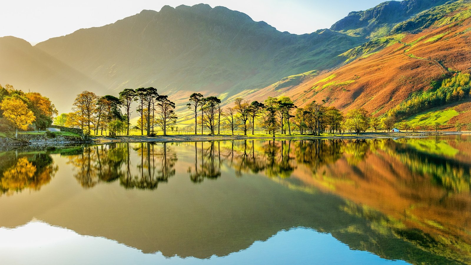 lake district english cumbria bank tree united kingdom 2k 4k