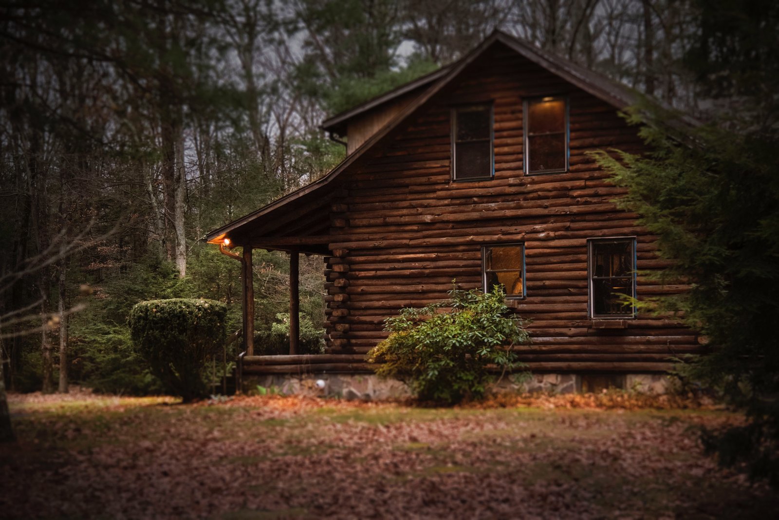 log cabin forest wood rustic nature house home relax 2k 4k 5k
