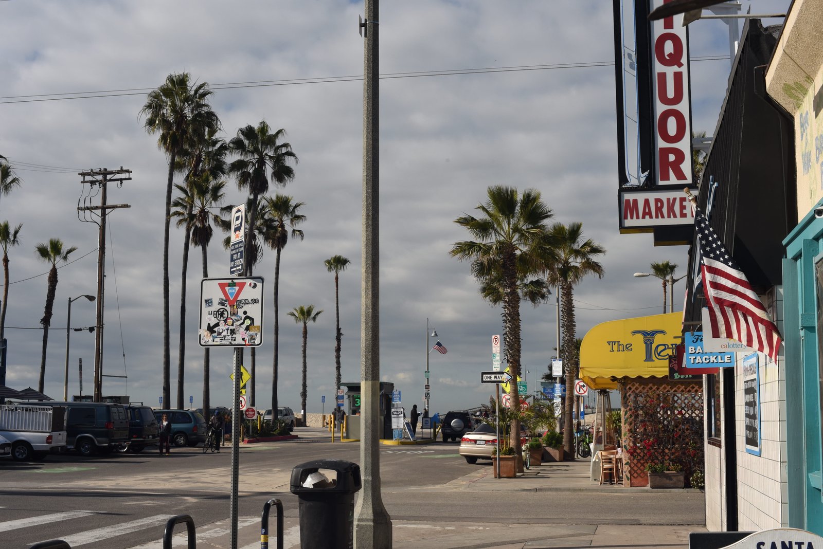 los angeles united states venice beach palm california 2k 4k 5k
