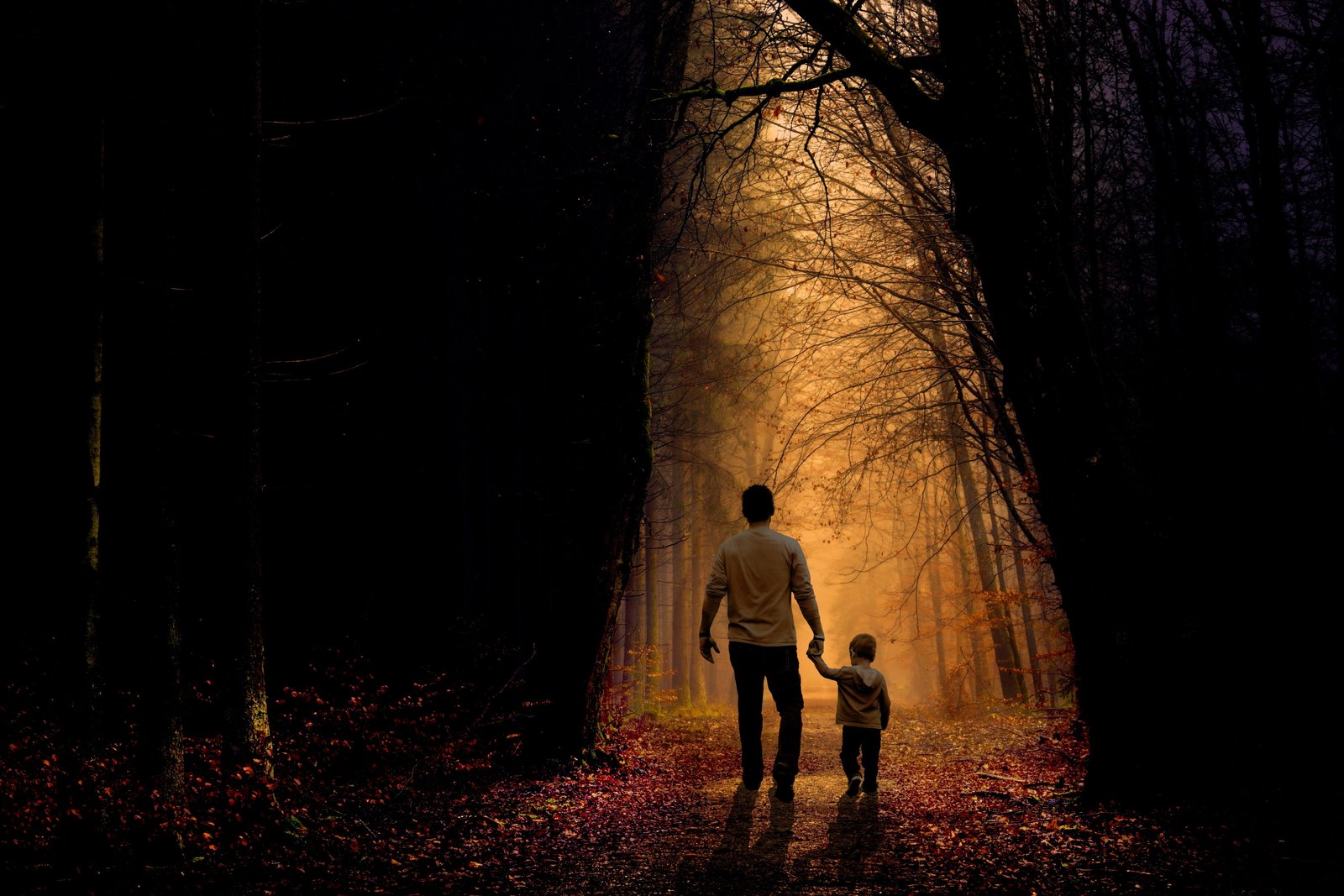 man and toddler walking on dried forest during dawn father son 2k 4k 5k