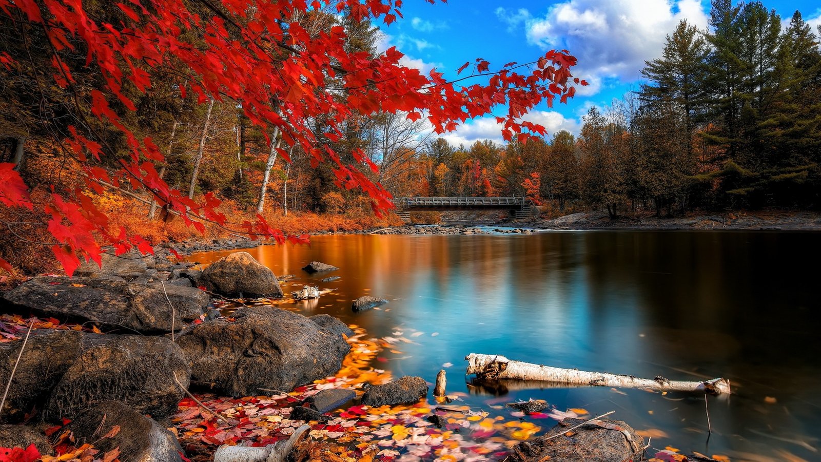 nature high resolution desktop 2k 4k