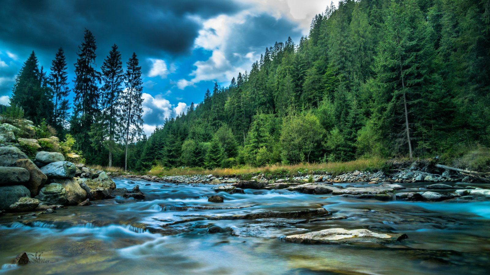 nature river water stream wilderness forest pine 2k 4k