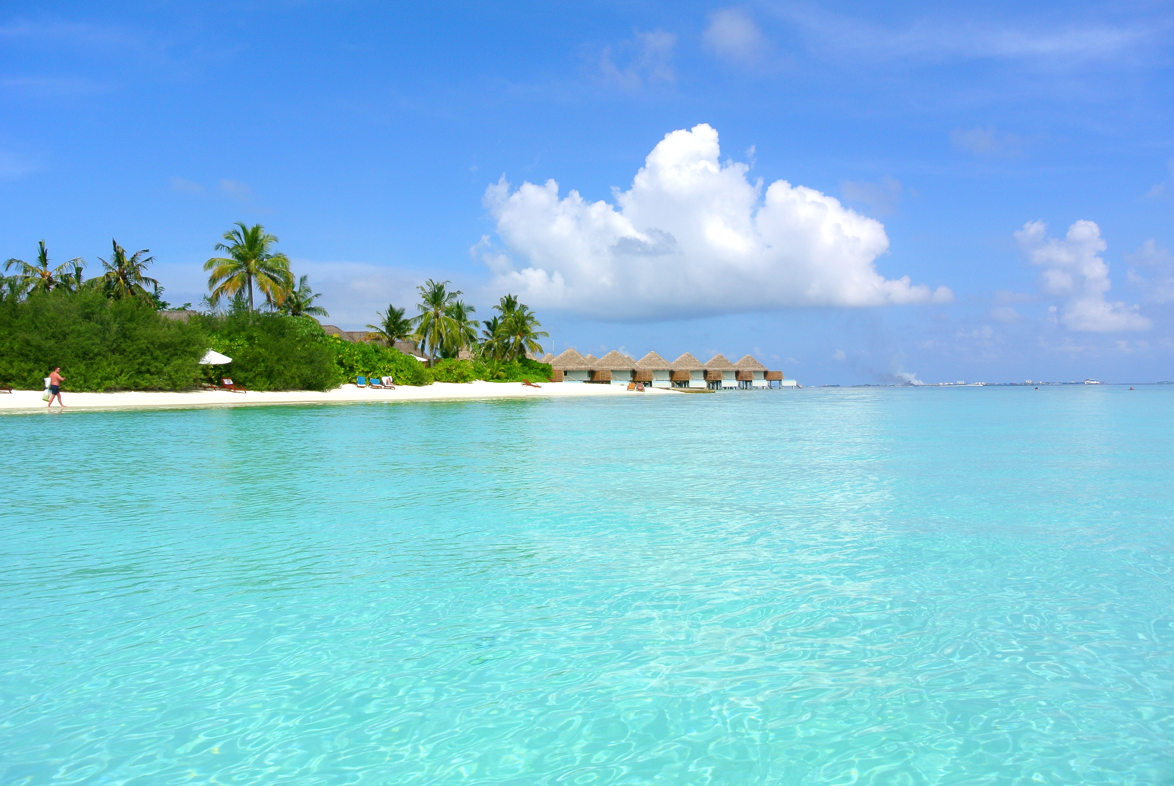 photography of beach resort at daytime maldives coconut tree 2k 4k