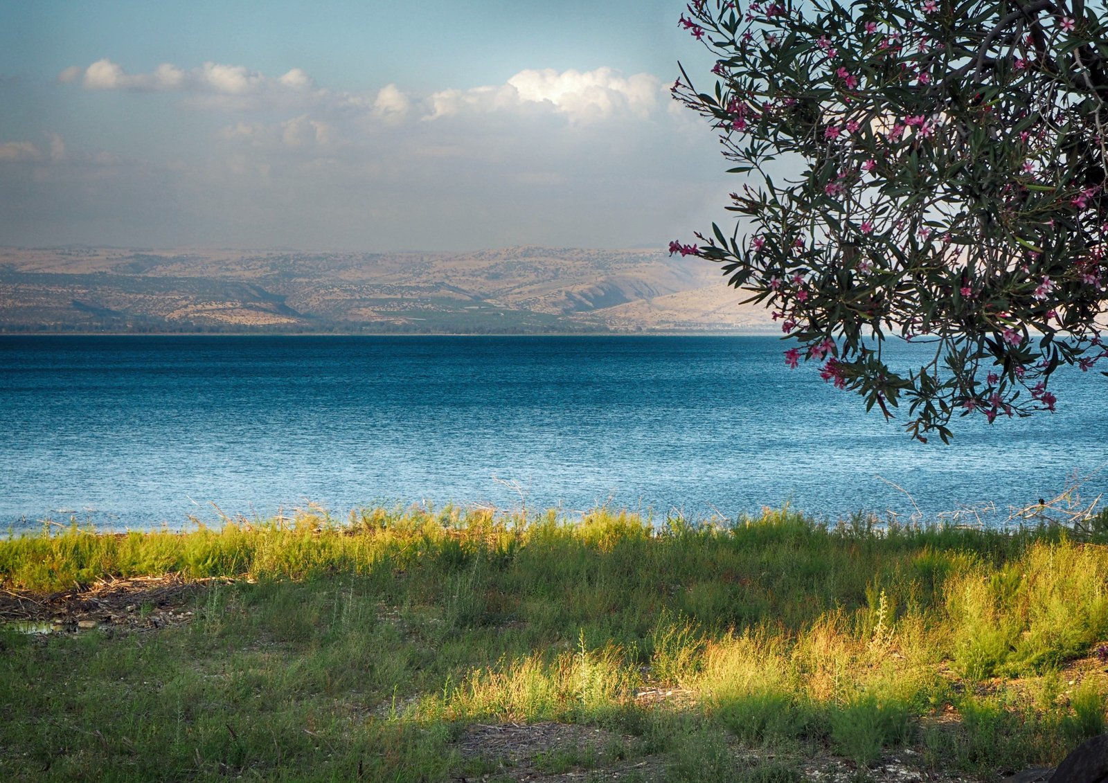 sea of galilee tabgha lake water tiberias israel 2k 4k 5k