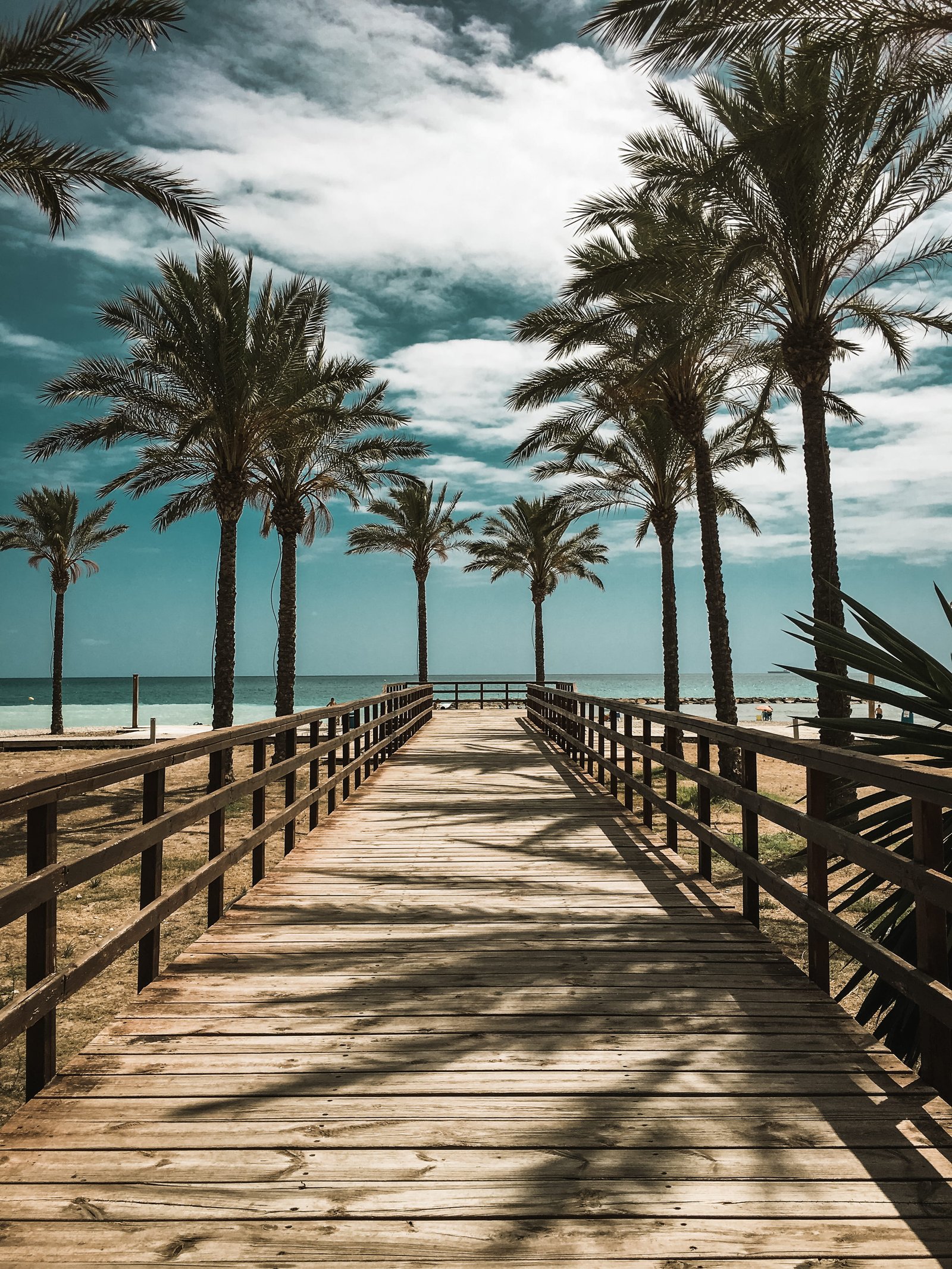 spain benic ssim trees summer beach direction the way forward 2k