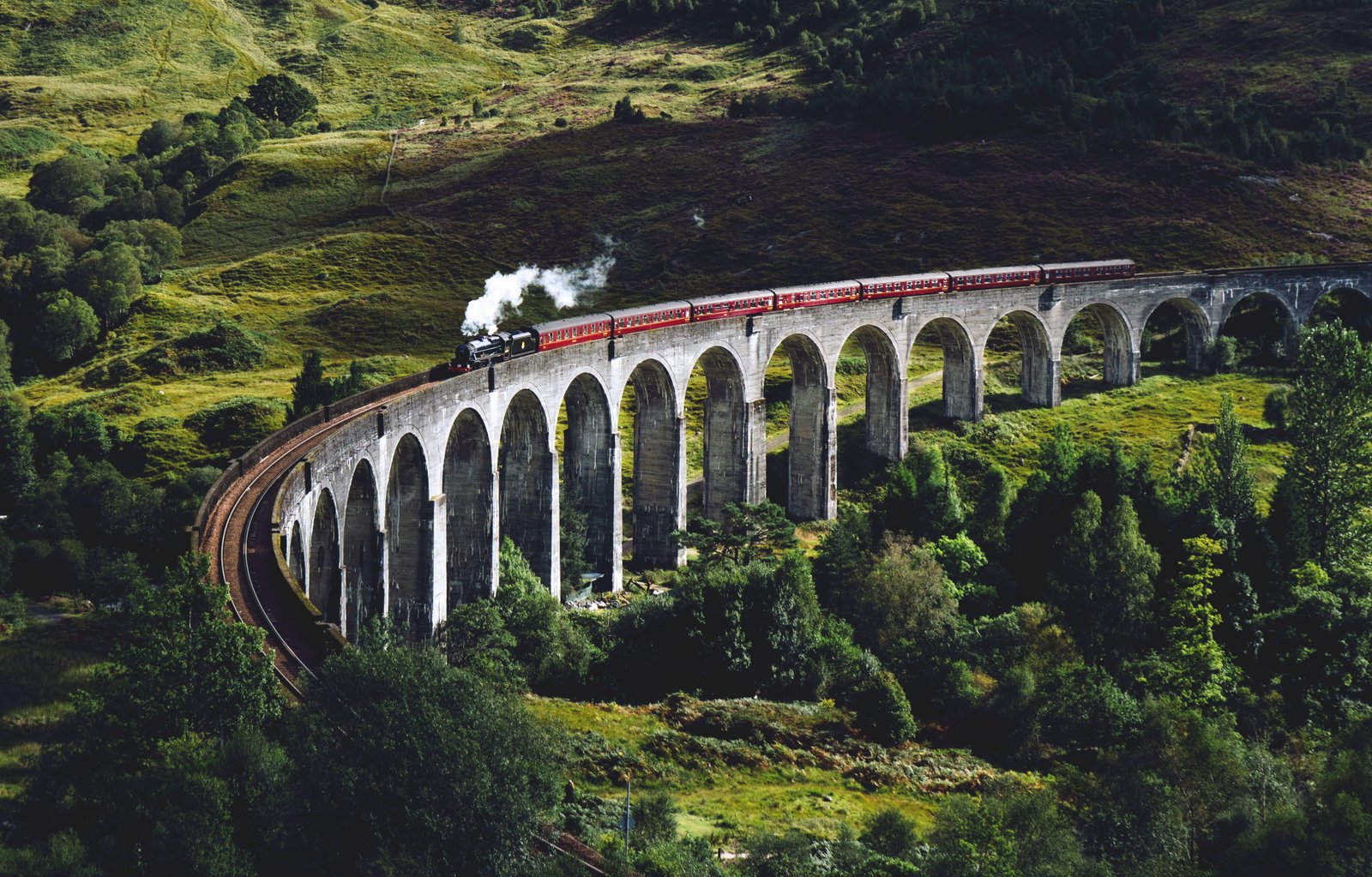 train on bridge surrounded with trees at daytime moving a gray concrete path 2k 4k