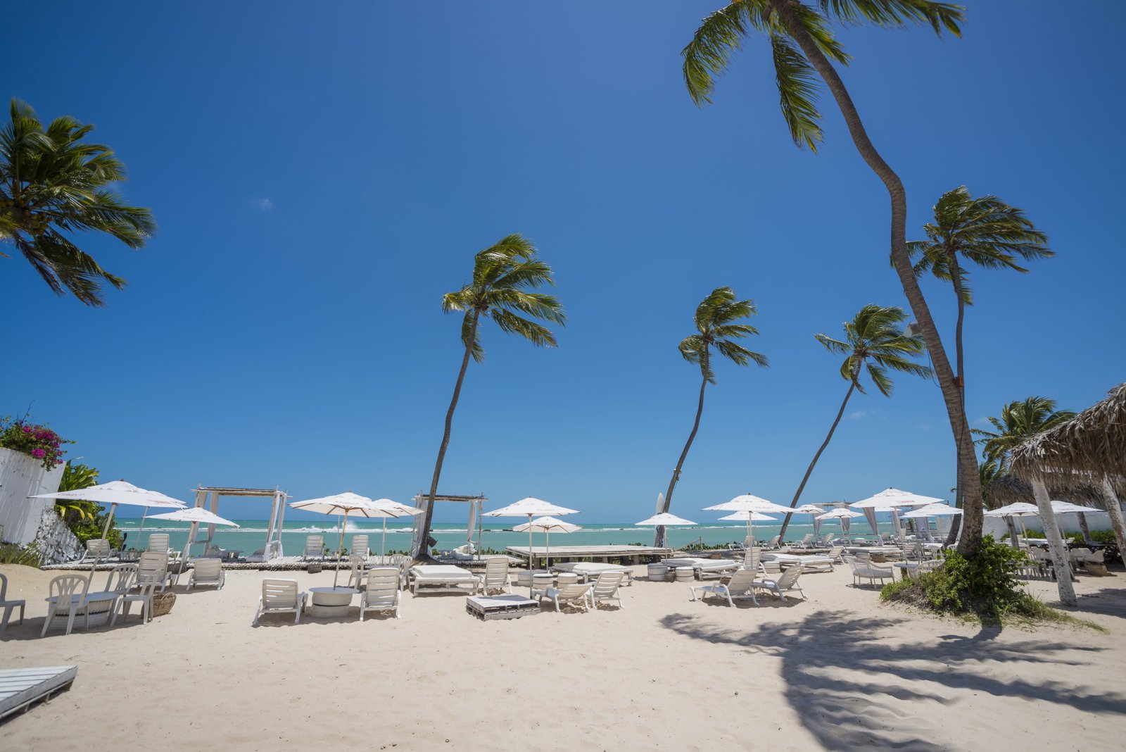 travel macei alagoas beach palm tree tropical climate 2k 4k 5k