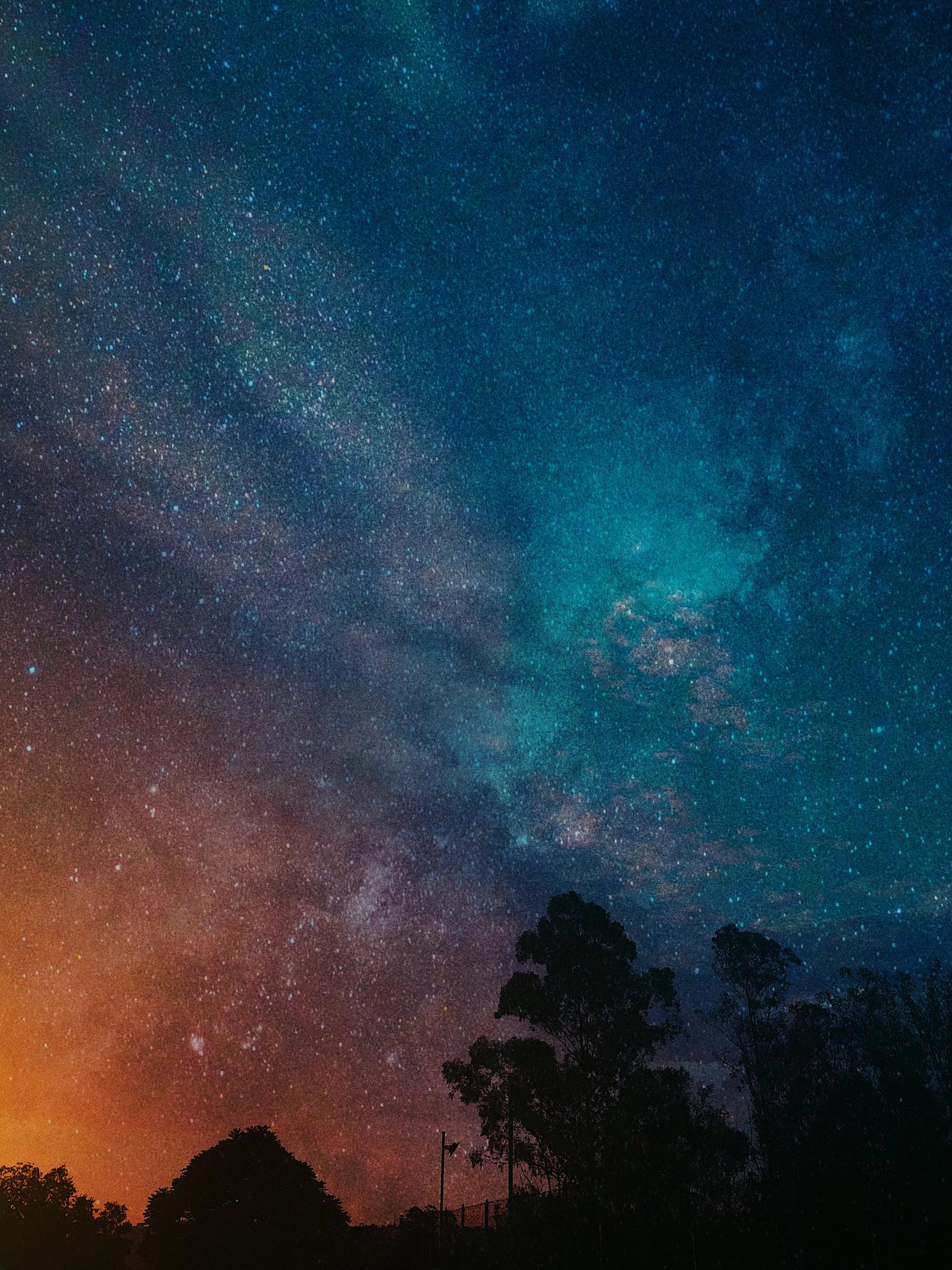 Trees Under Blue And Orange Night Sky astronomy constellations 2k
