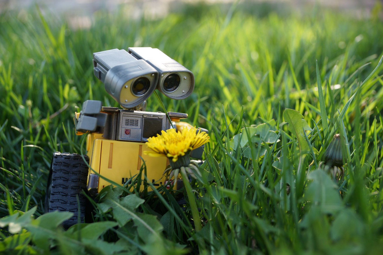 Wall E robot grass flower camera Photographic Equipment 2k 4k 5k