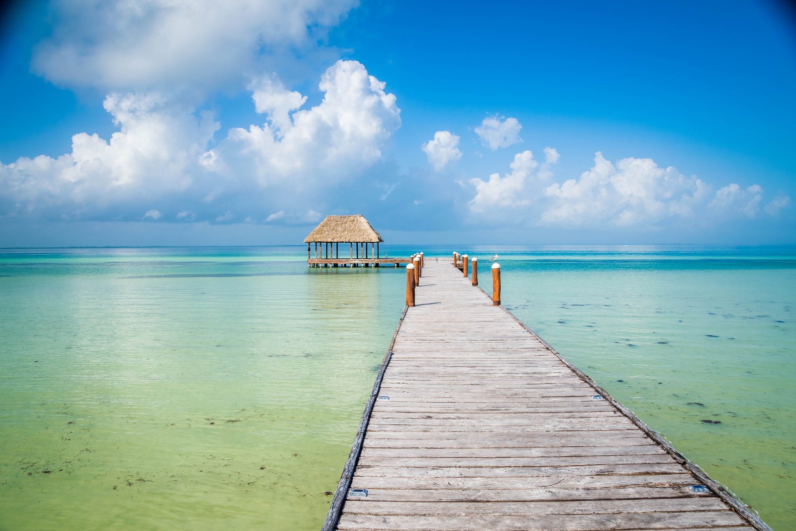 wooden dock bridge beside body of water island isla holbox 2k 4k 5k