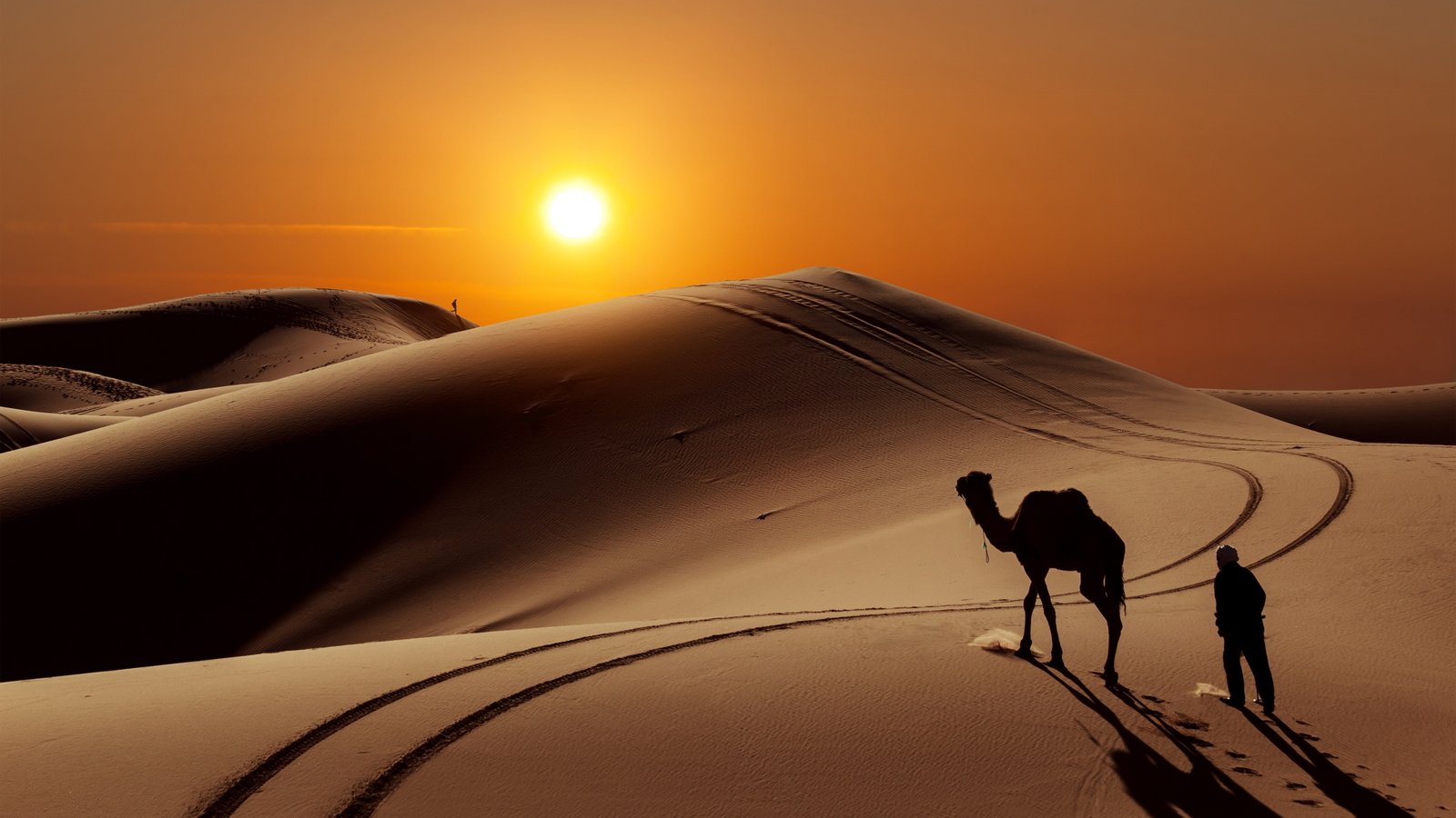 camel desert people sun 2k 4k 5k 8k