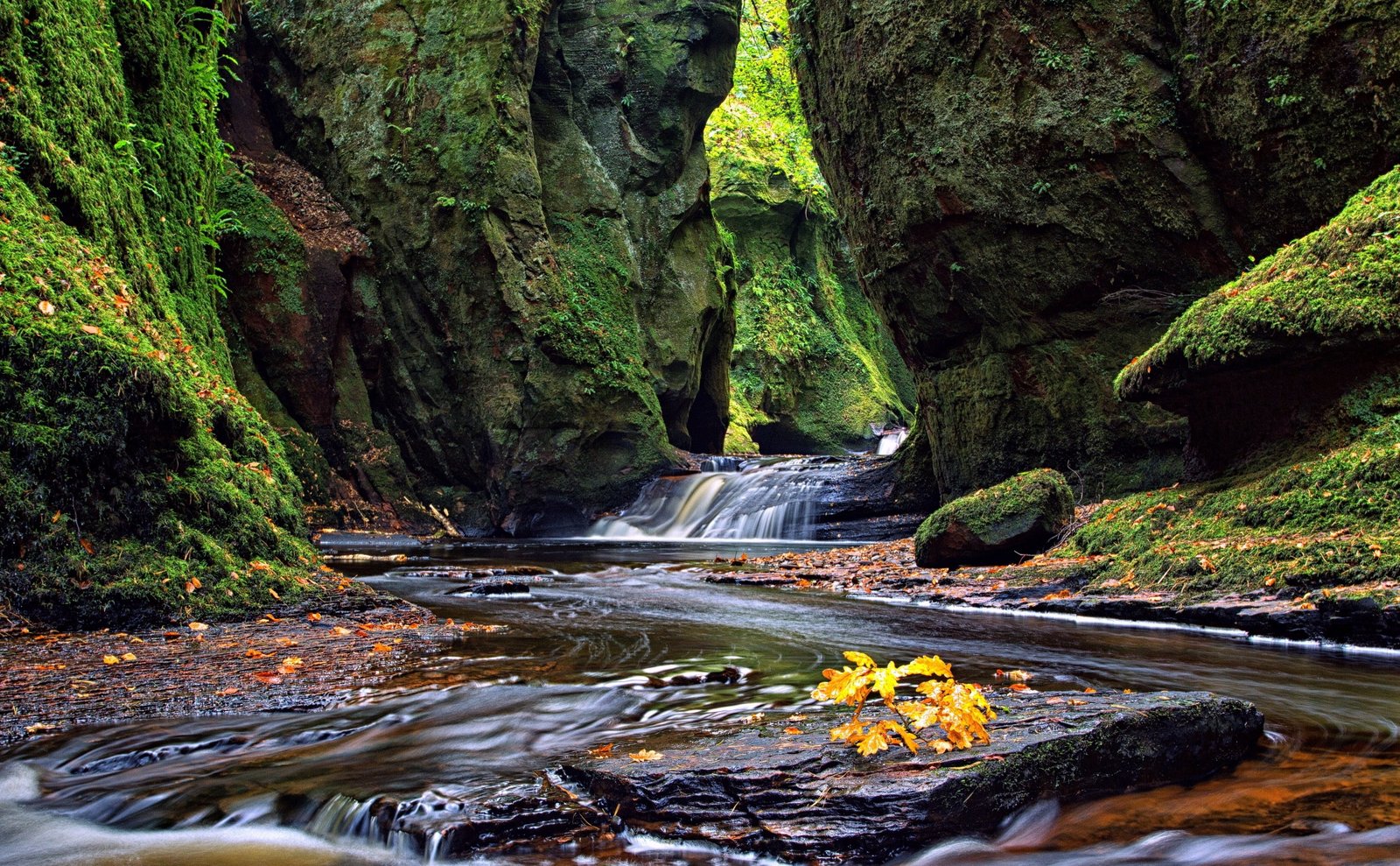 A Walk Through Finnich Glen Europe United Kingdom Nature Beautiful 2k 4k