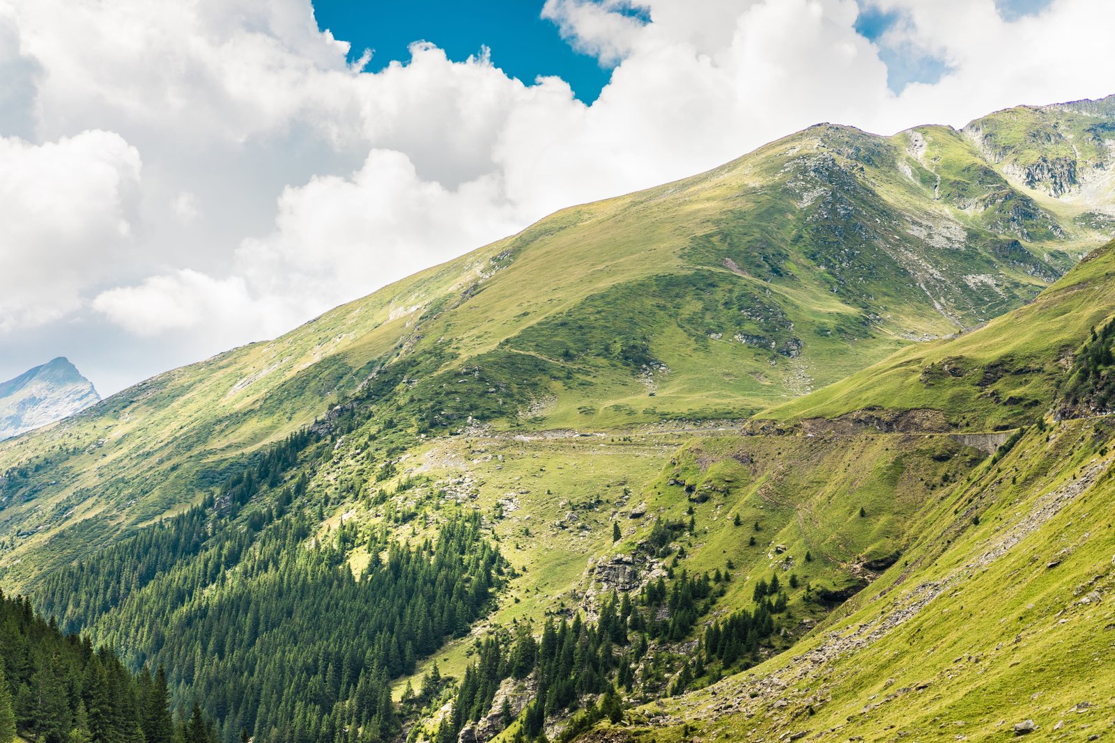 Beautiful Nature in Romanian Mountains clouds forest grass 2k 4k
