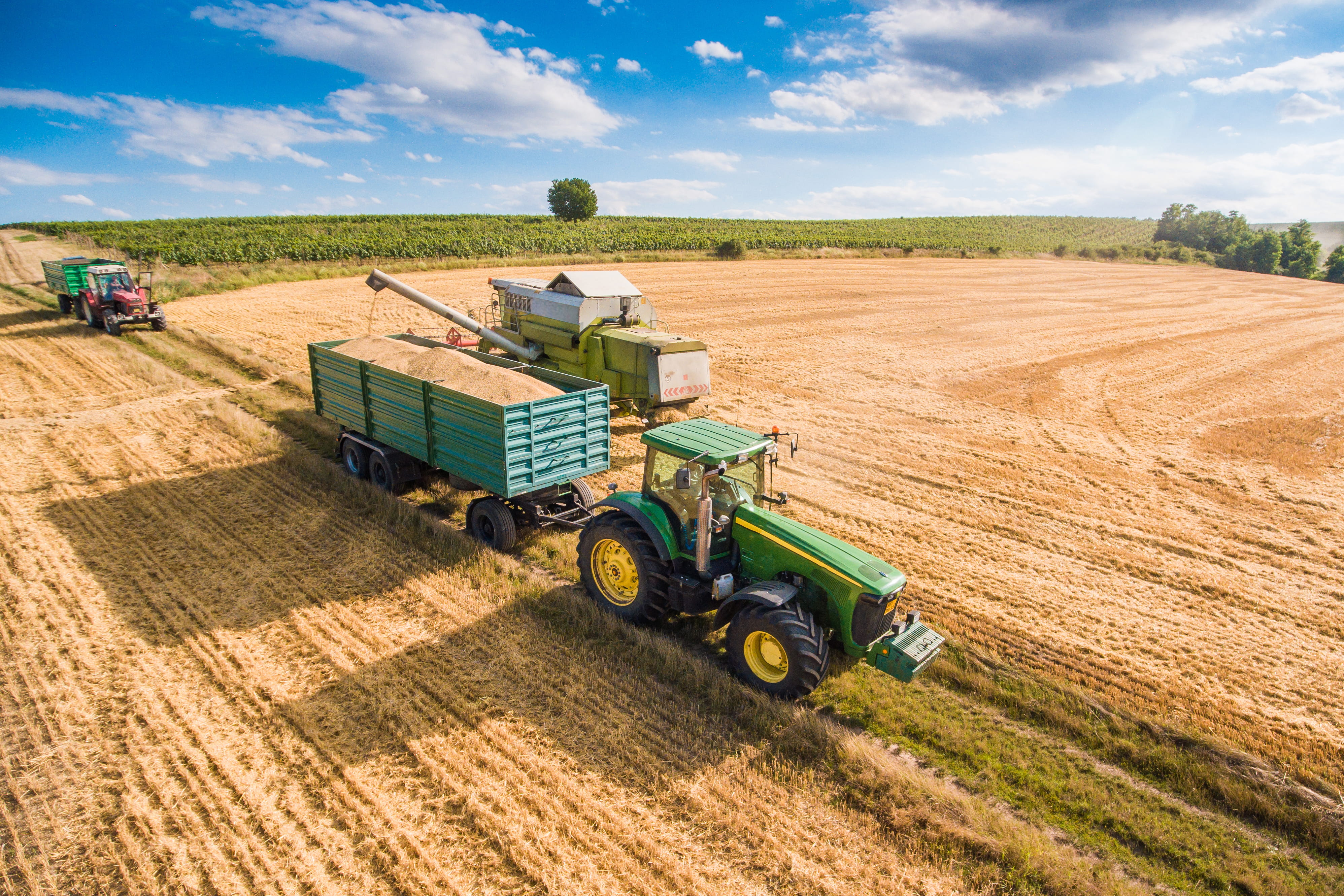 Combine Harvester Pouring Grain into Trailer Towed by Tractor 2k 4k