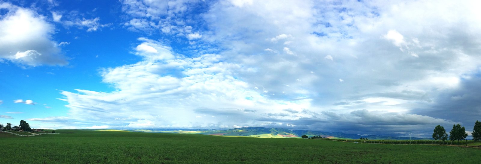 green grass field under blue sky at daytime photo Walla 2k 4k 5k 8k 10k