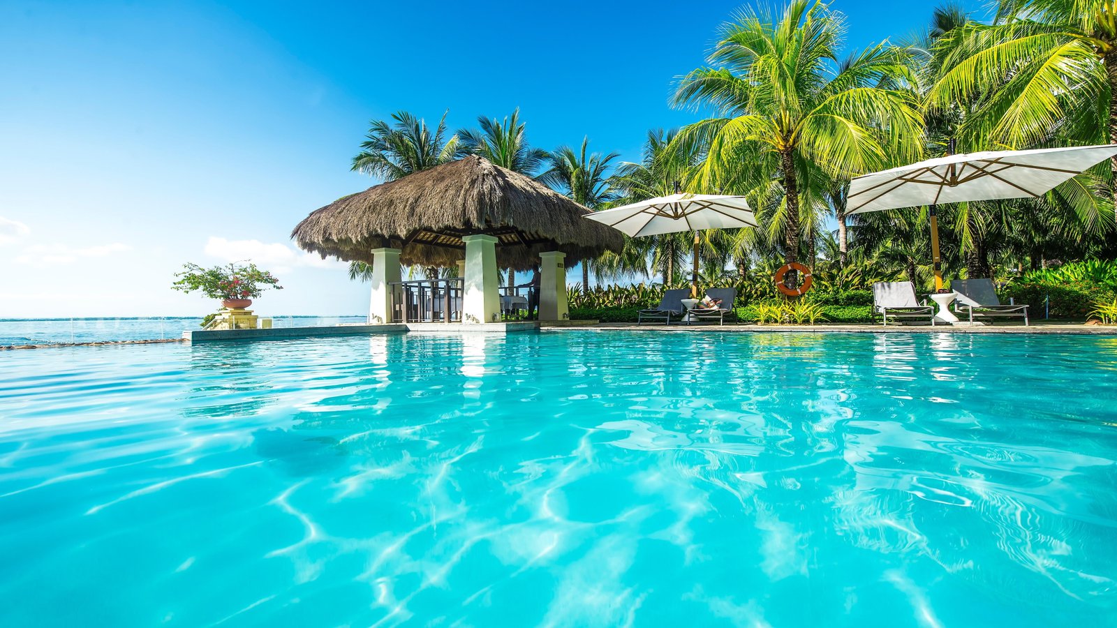 nikon summertime asia palms swimming pool blue water cebu 2k 4k 5k