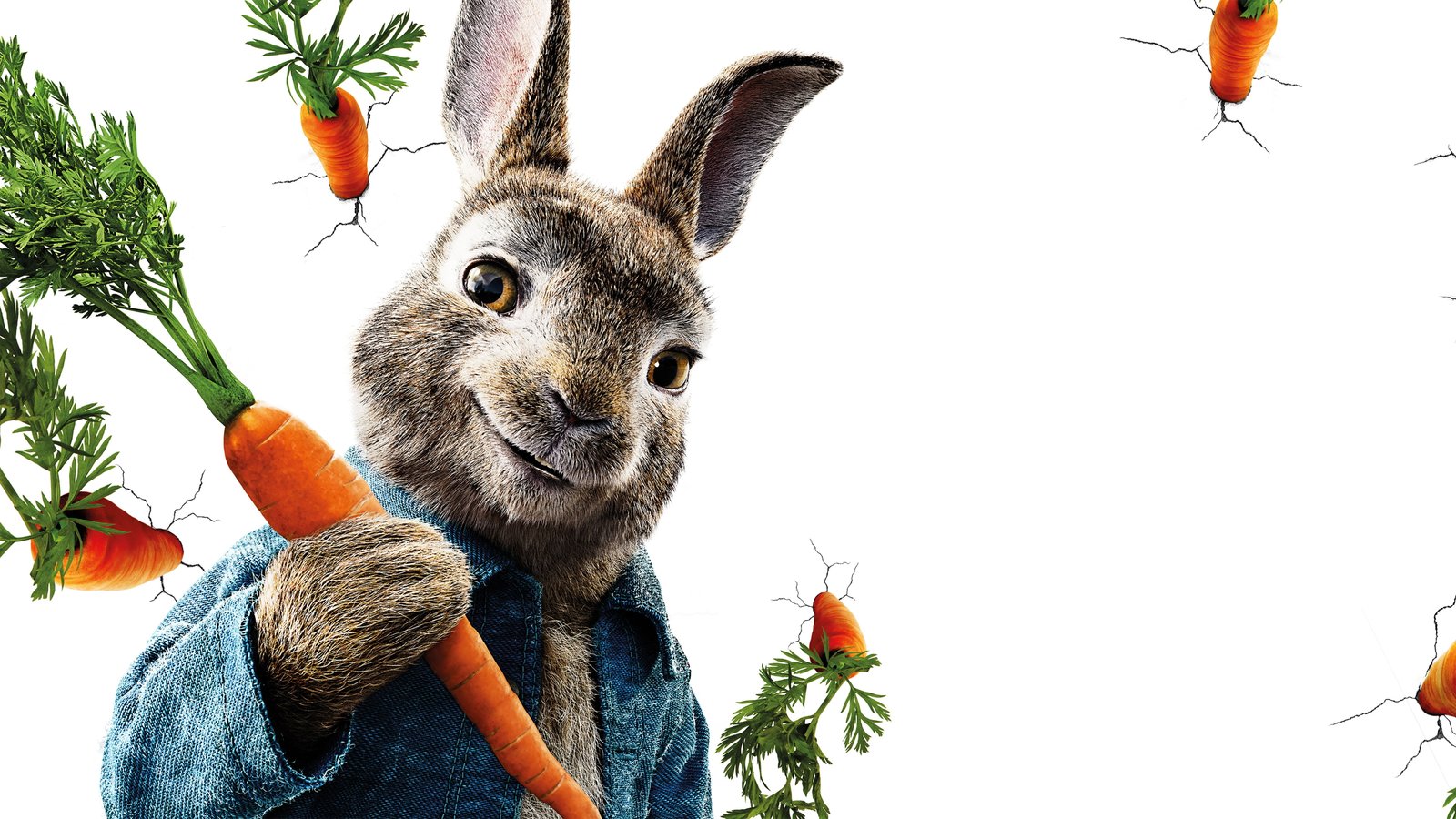 peter rabbit HD 2k 4k 5k