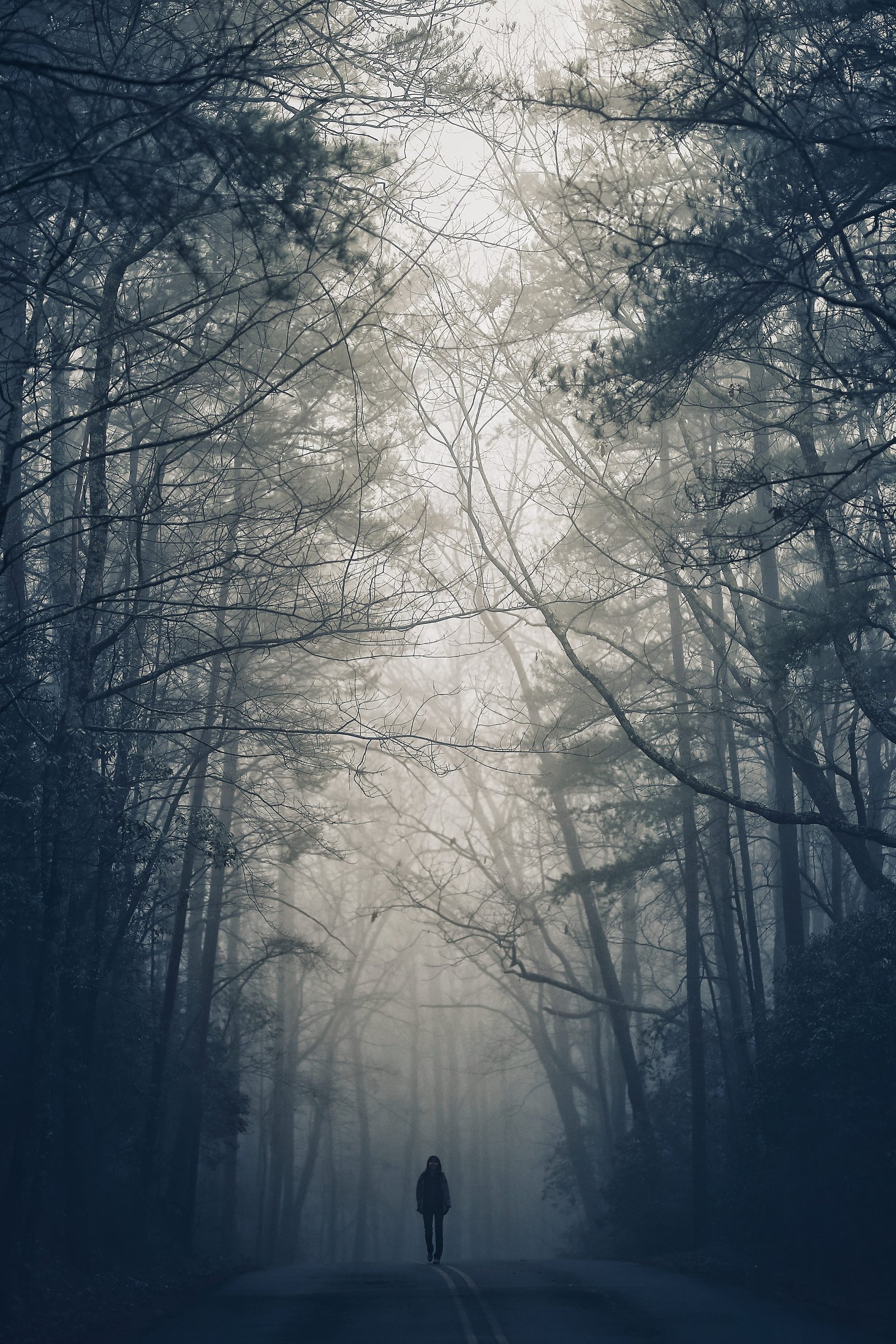 photo of person walking on road surrounded by trees during noontime 2k