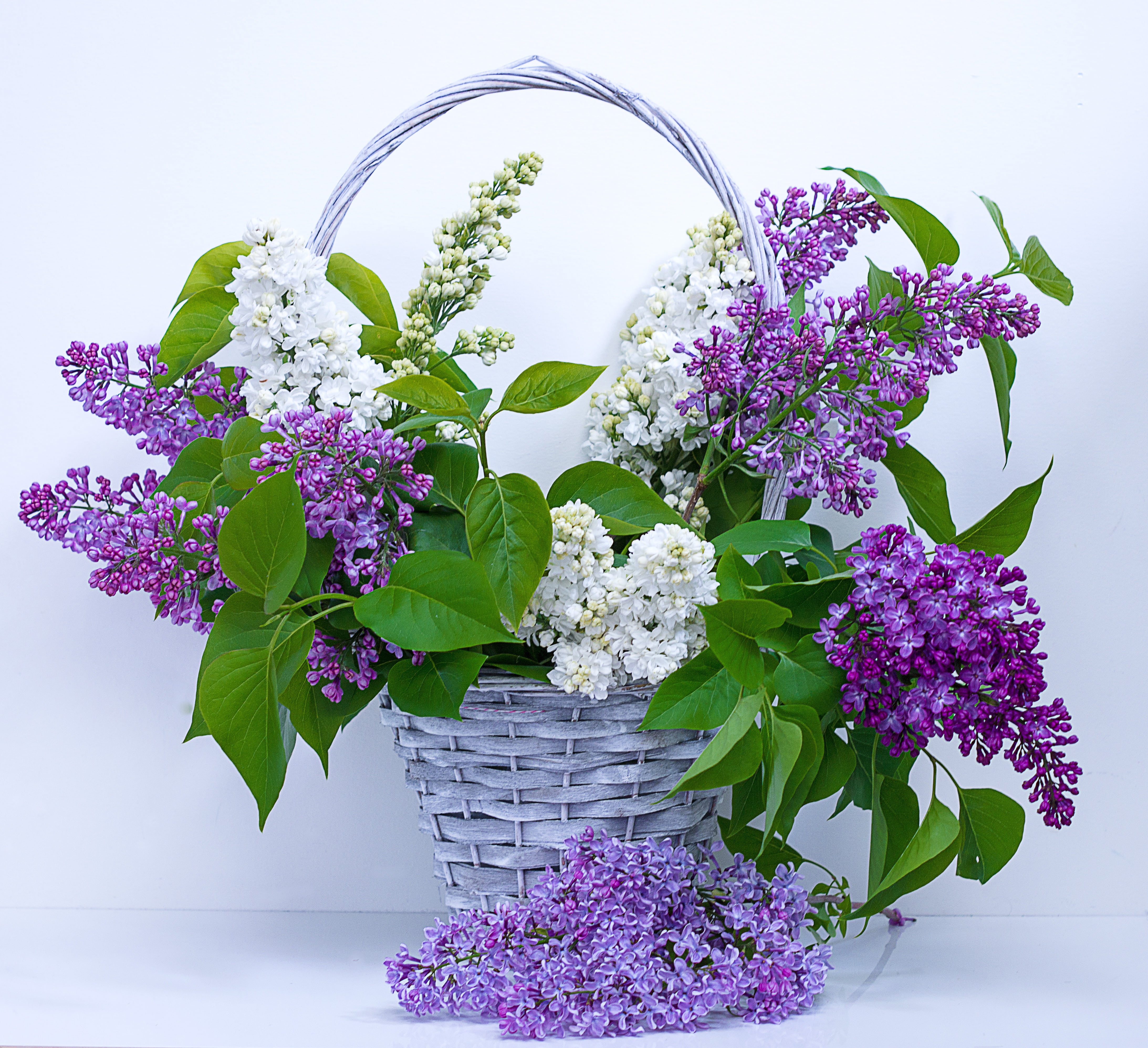 purple and white petaled flower arrangement with wicker basket 2k 4k
