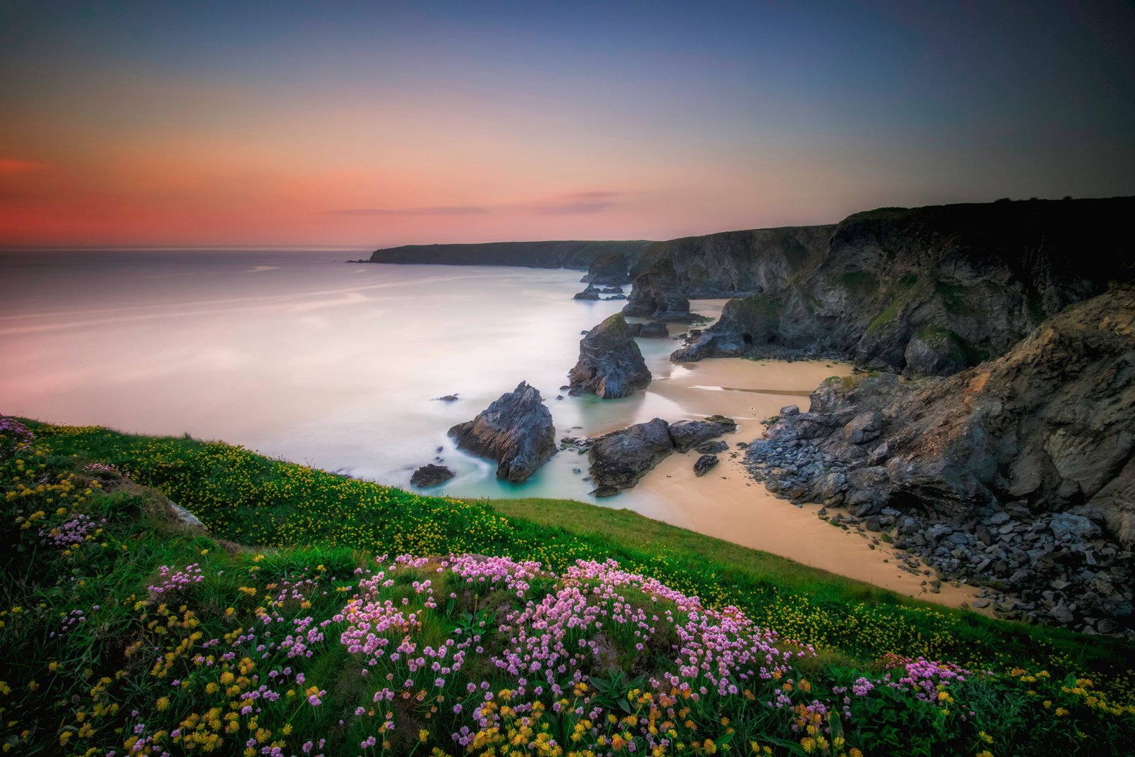 purple flower lot beside the river Bedruthan Steps andi com 2k 4k 5k