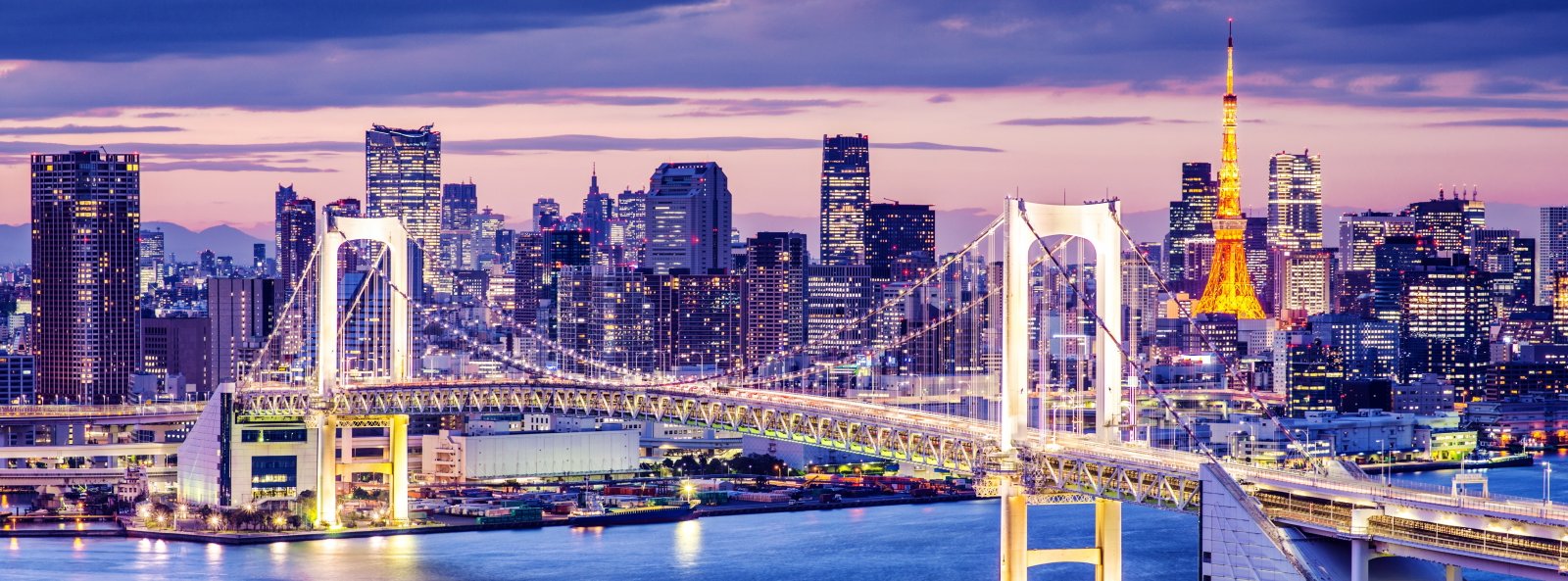 Rainbow Bridge Tokyo Japan Golden Asia City Travel 2k 4k 5k