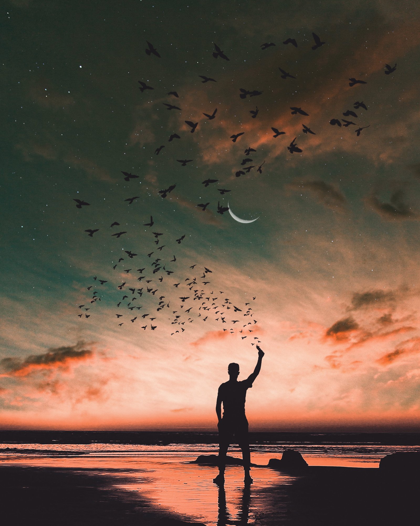 silhouette of man putting hand up birds shore sea sky horizon 2k
