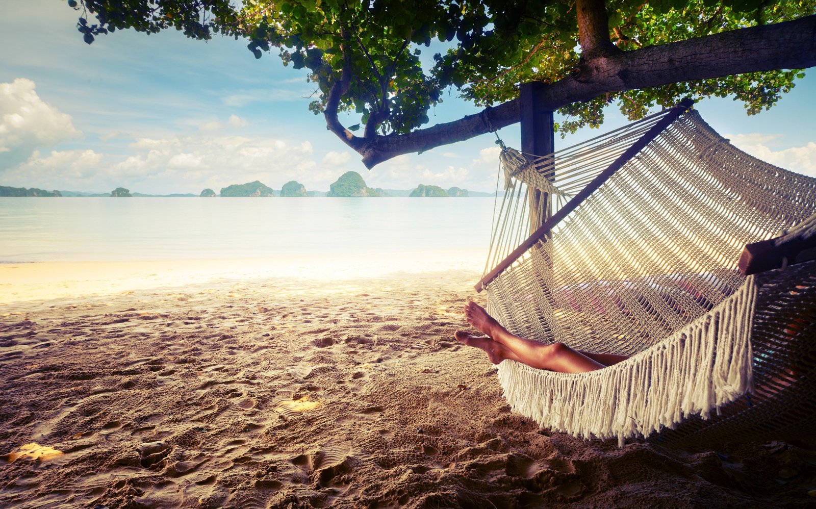 trees hammocks beach landscape sky plant nature water 2k 4k