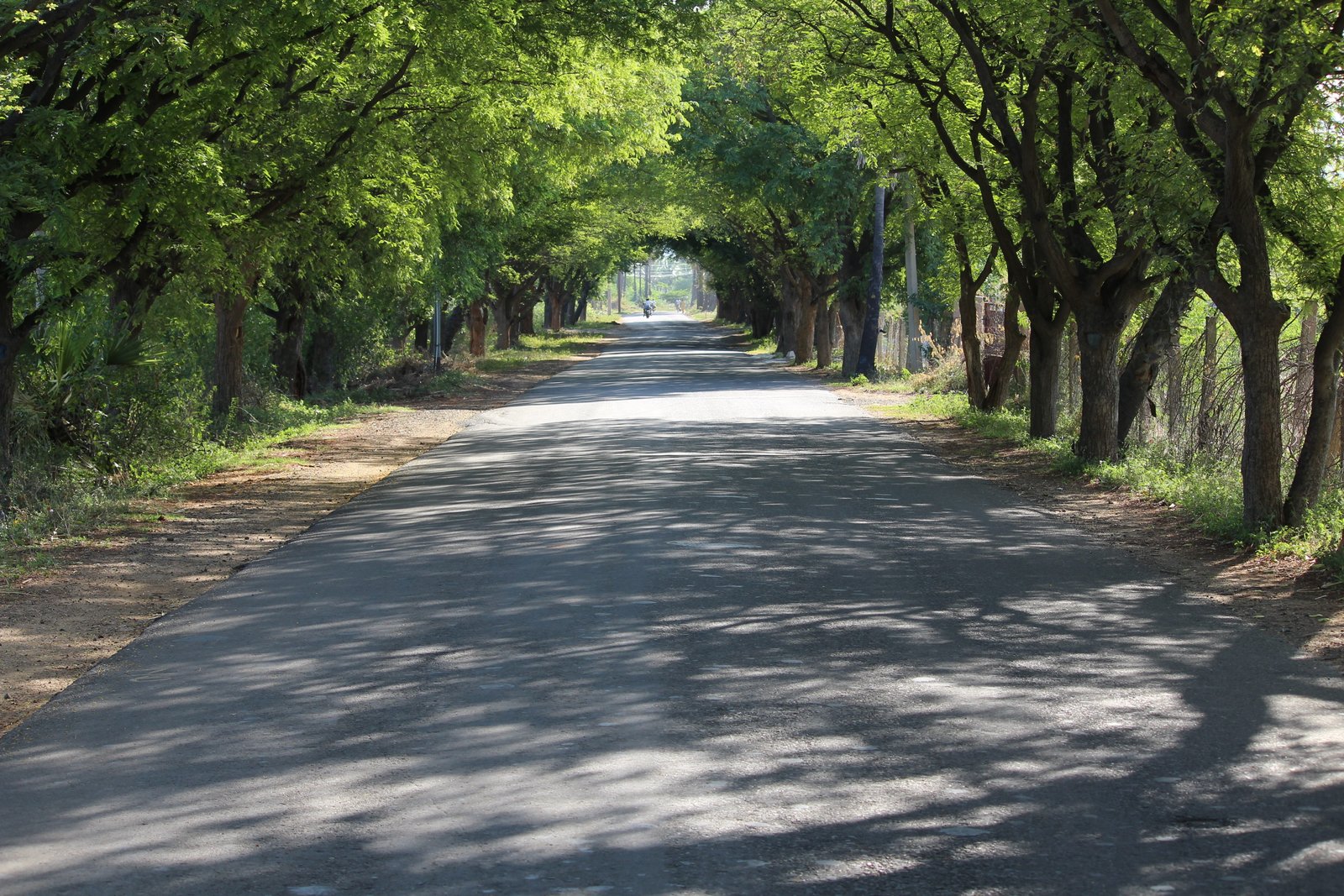 India Road Village indian village rural india alone footpath 2k 4k 5k