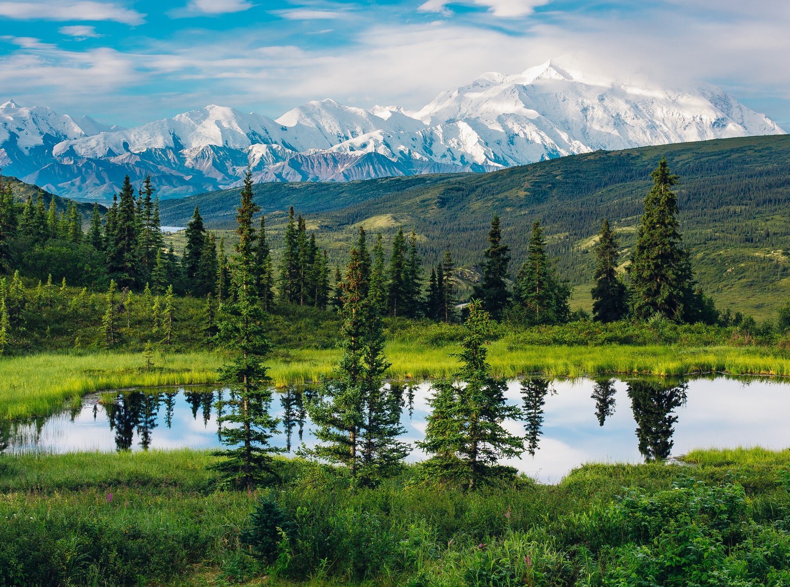 Alaska Range Beautiful Mountain Landscape green pine trees 2k 4k