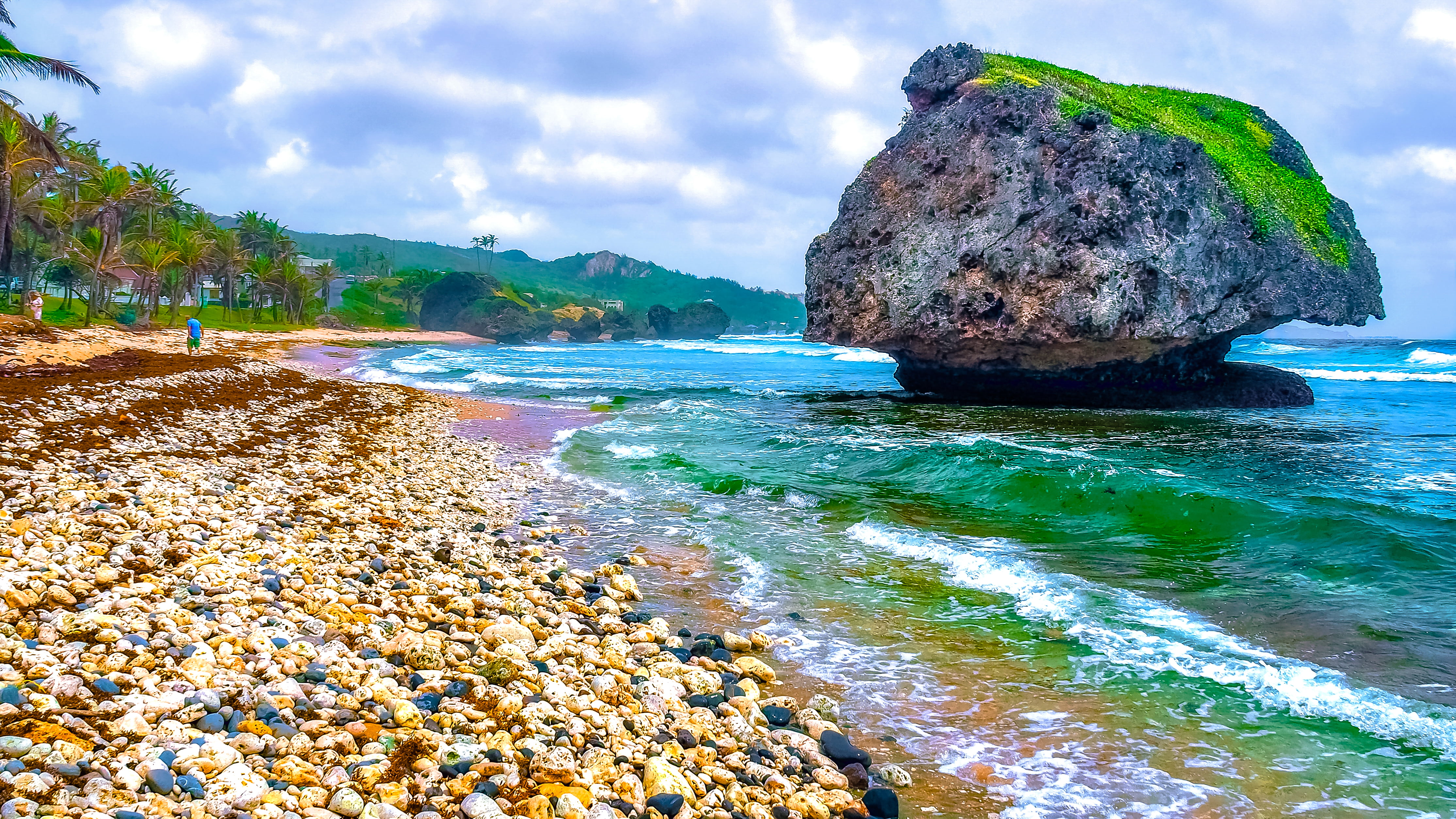 black and green rock on sea Bathsheba Monolith coral beach 2k 4k