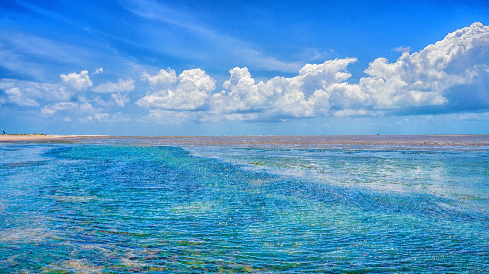 blue water and white skies mar beach litoral beira speedboat 2k 4k 5k