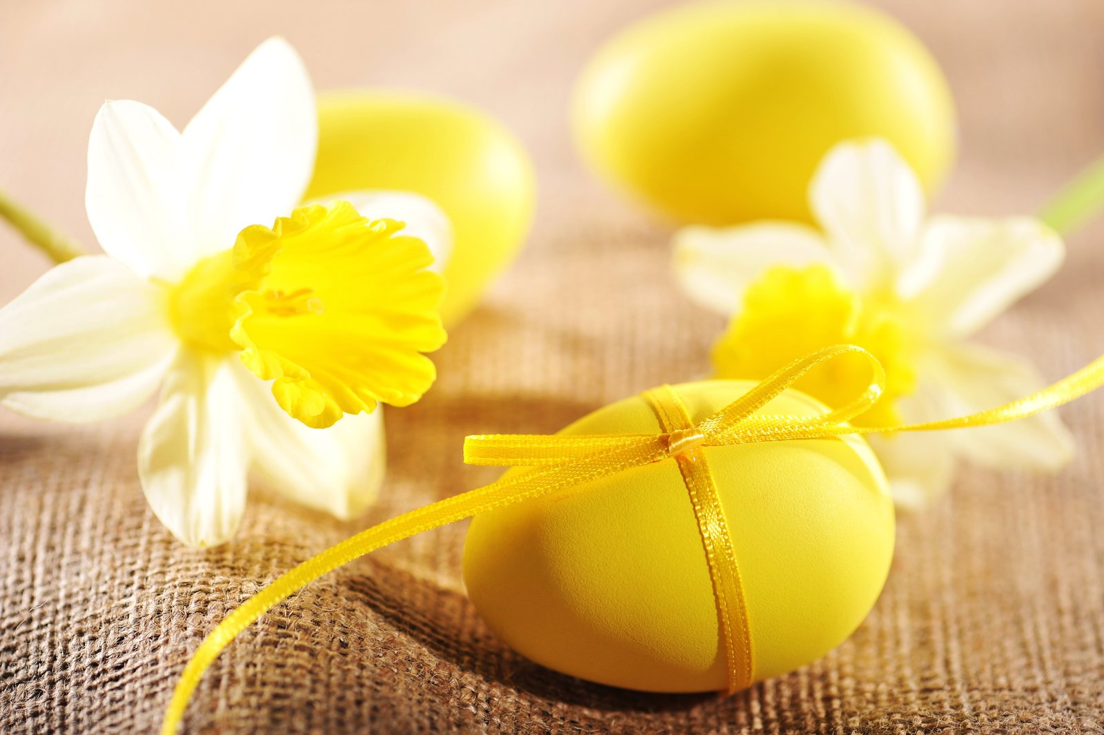 Easter holiday HD 2k 4k 5k 8k