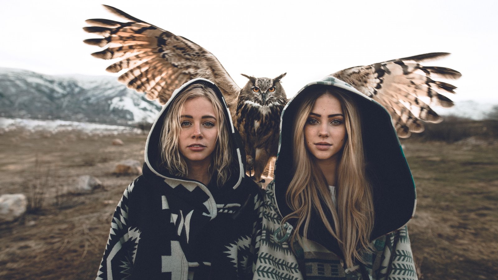 girls owl 2k 4k 5k 8k